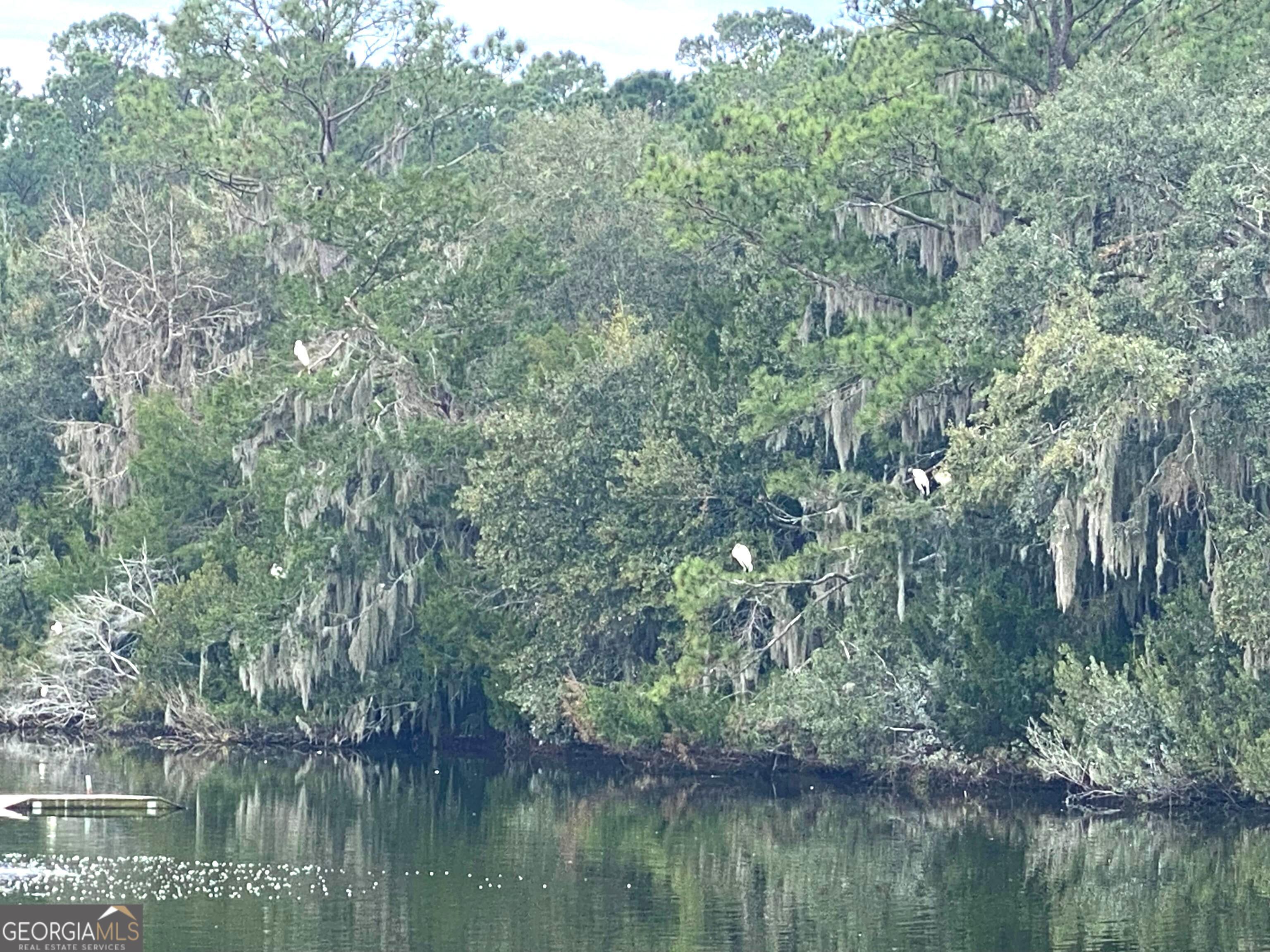 1 Old Cane Mill Drive Darien GA 31305