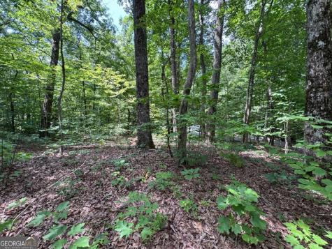 165 St Andrews Way Jasper GA 30143