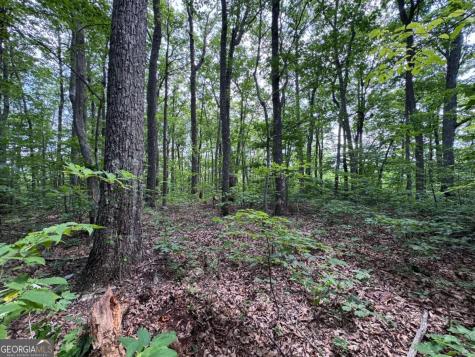 165 St Andrews Way Jasper GA 30143