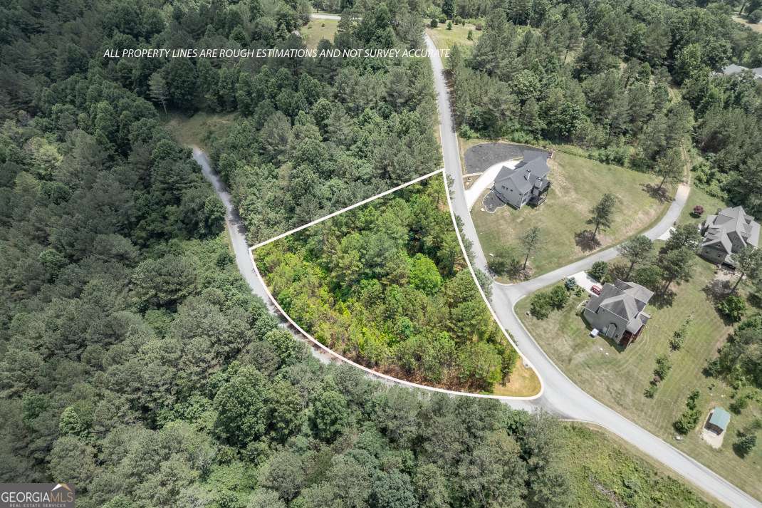Lot 20 Pinehurst Blairsville GA 30512