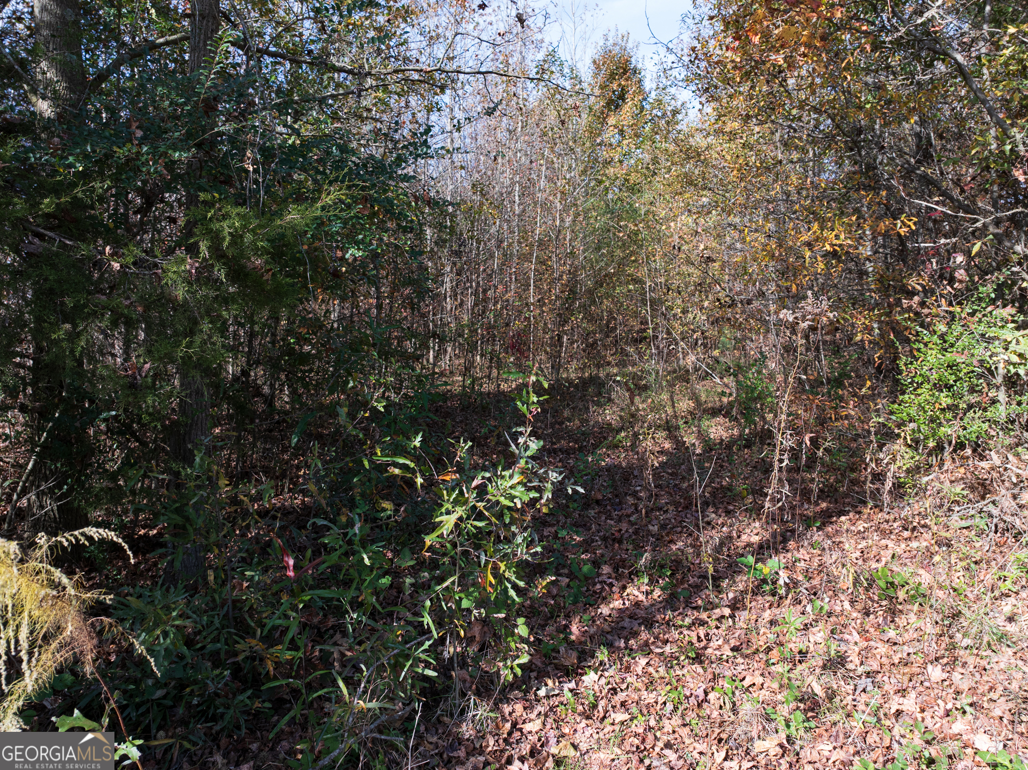 6.98 Acres New Franklin Church Road Canon GA 30520
