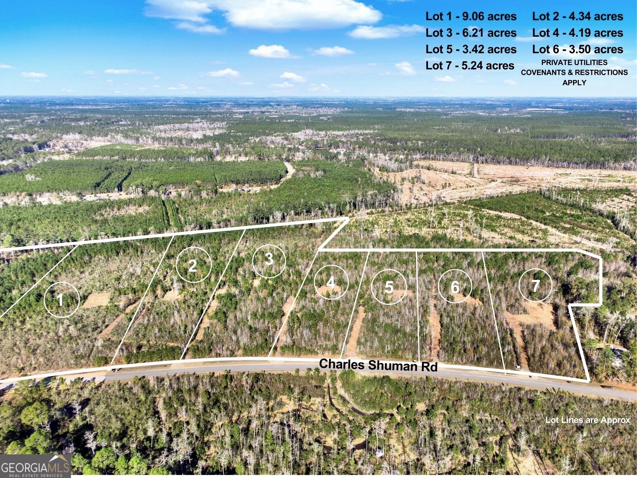 Lot 5 Charles Shuman Road Pembroke GA 31321