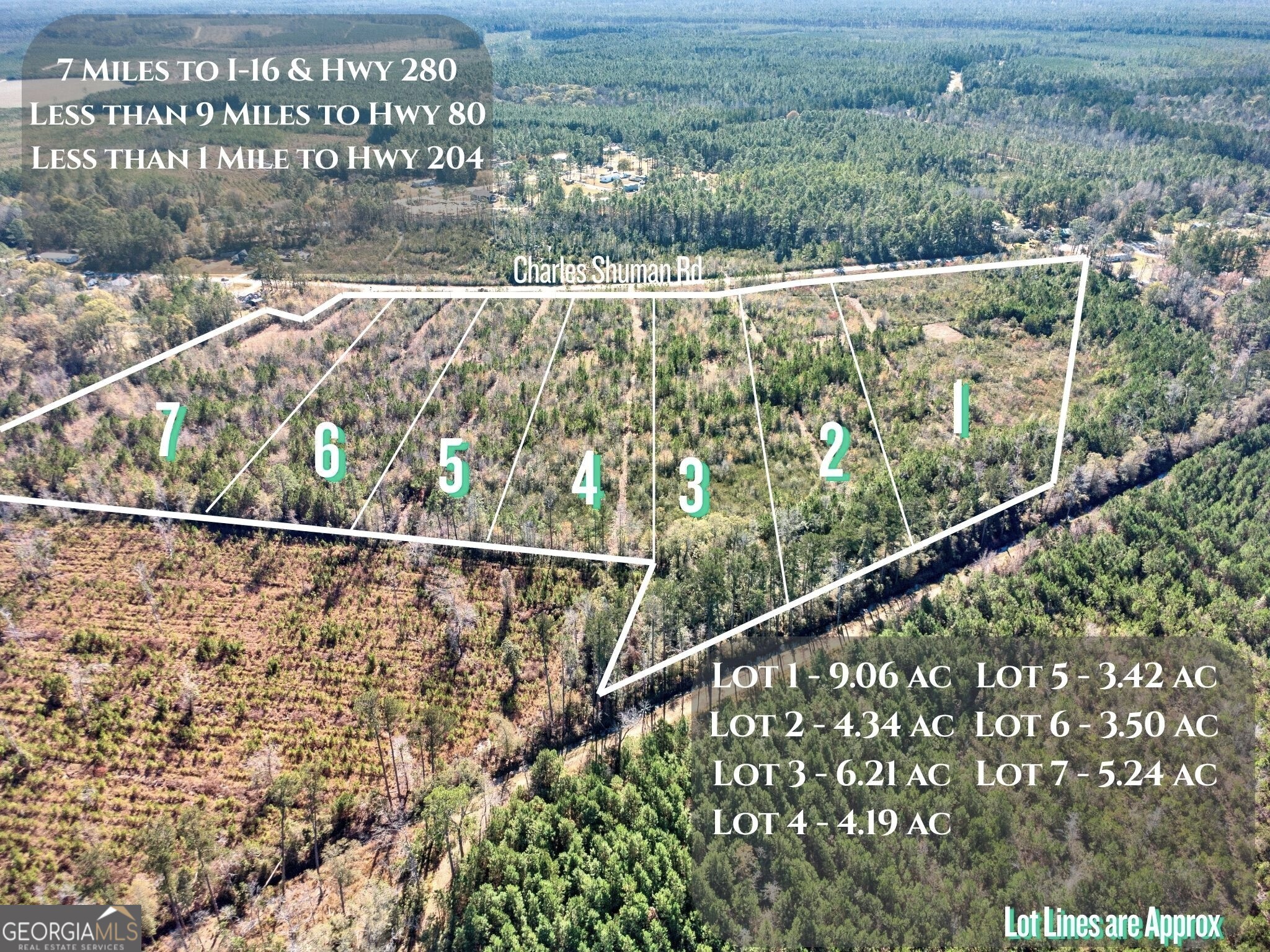 Lot 5 Charles Shuman Road Pembroke GA 31321