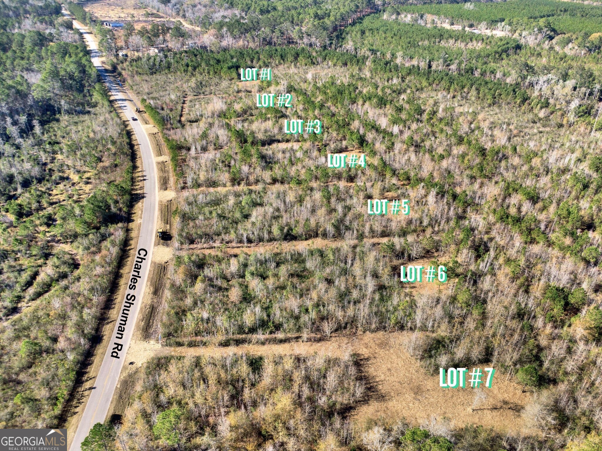 Lot 5 Charles Shuman Road Pembroke GA 31321