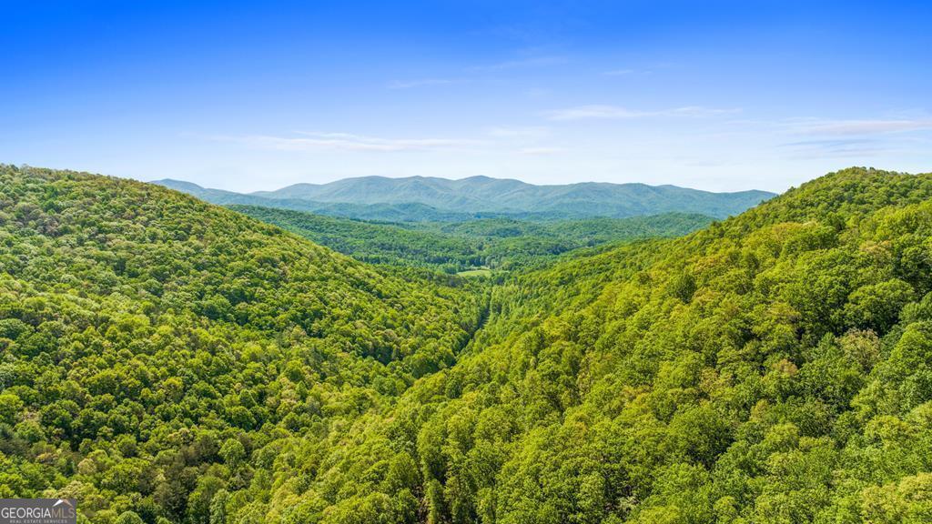 Lot 18 Cub Trail Cherry Log GA 30522