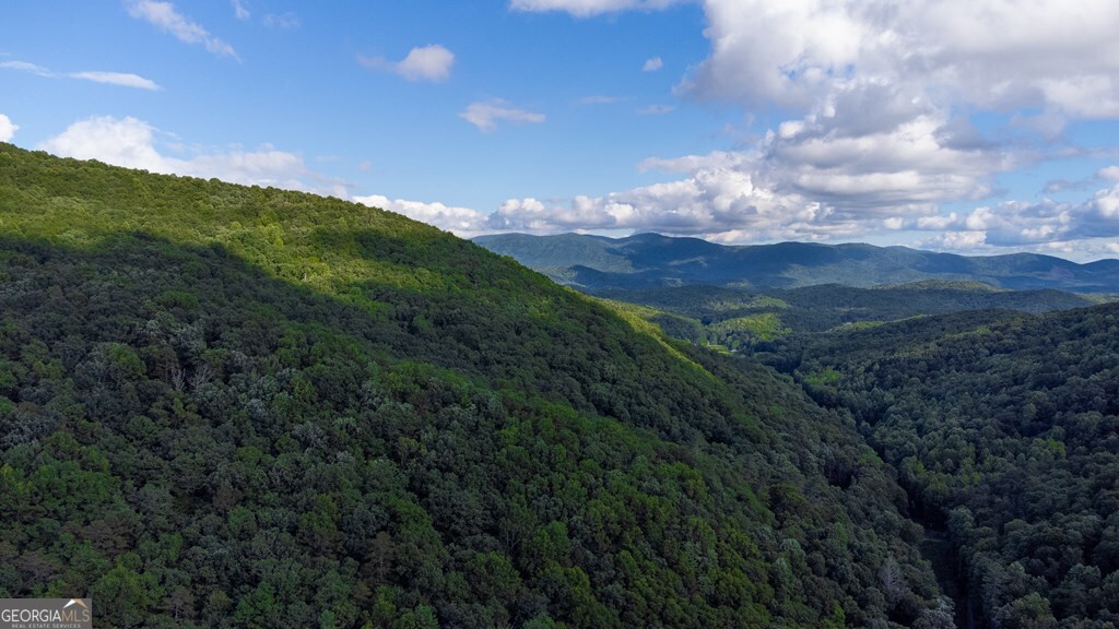 Lot 18 Cub Trail Cherry Log GA 30522