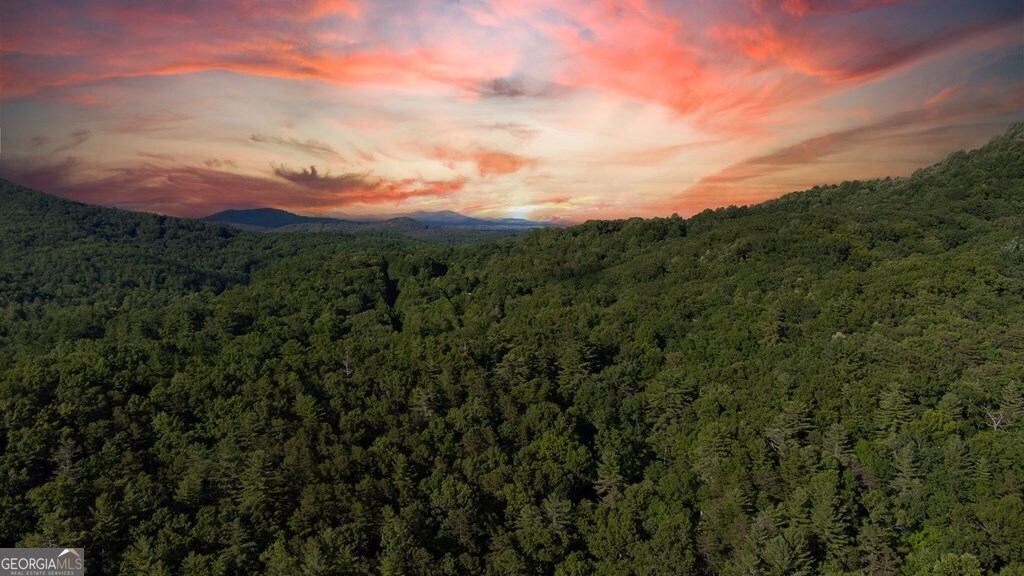 Lot 18 Cub Trail Cherry Log GA 30522