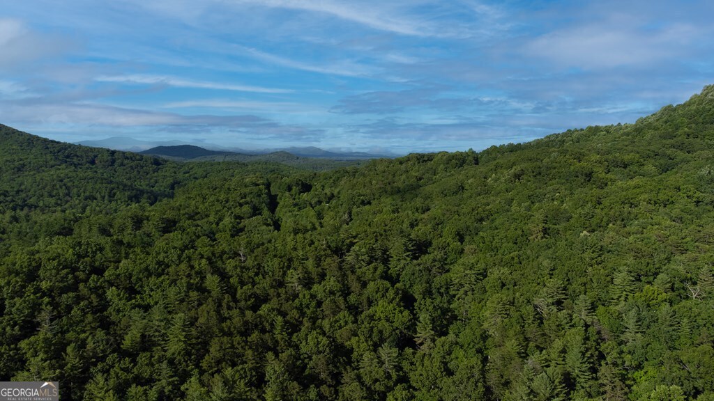 Lot 18 Cub Trail Cherry Log GA 30522