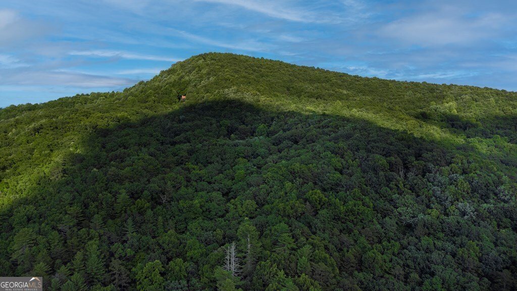 Lot 18 Cub Trail Cherry Log GA 30522
