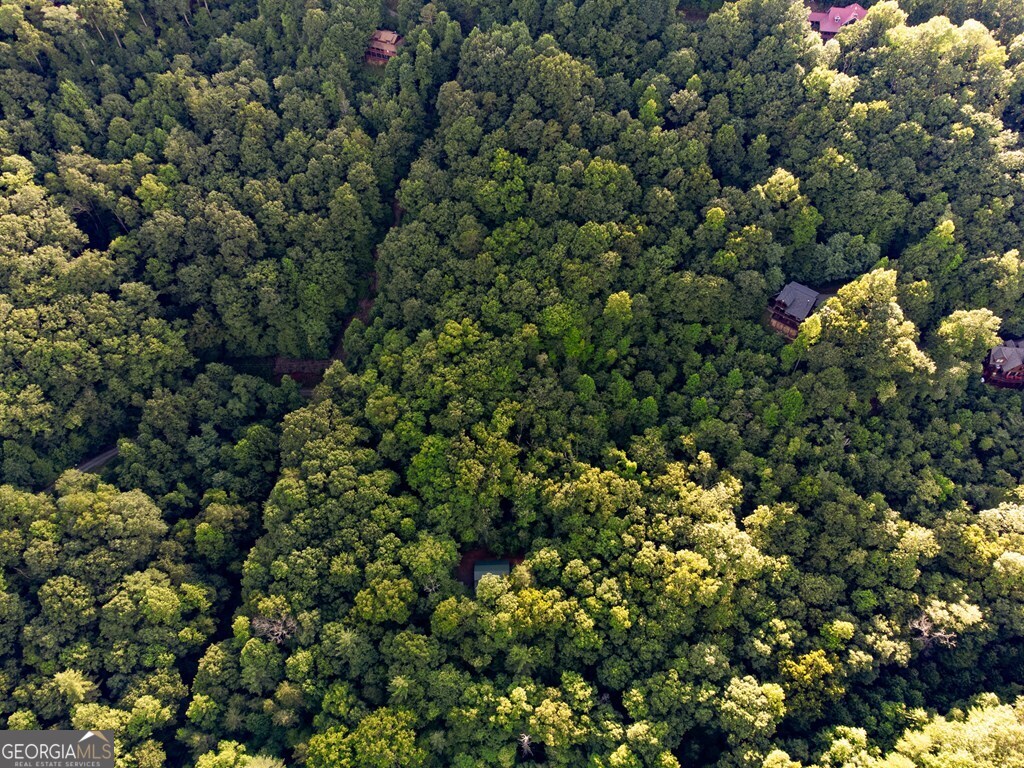 Lot 18 Cub Trail Cherry Log GA 30522