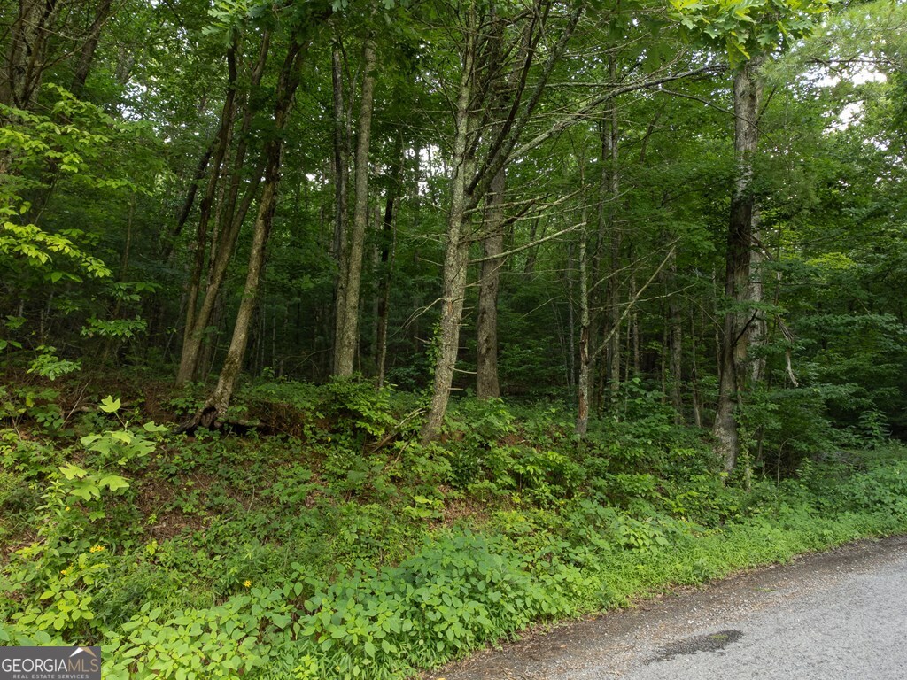 Lot 18 Cub Trail Cherry Log GA 30522