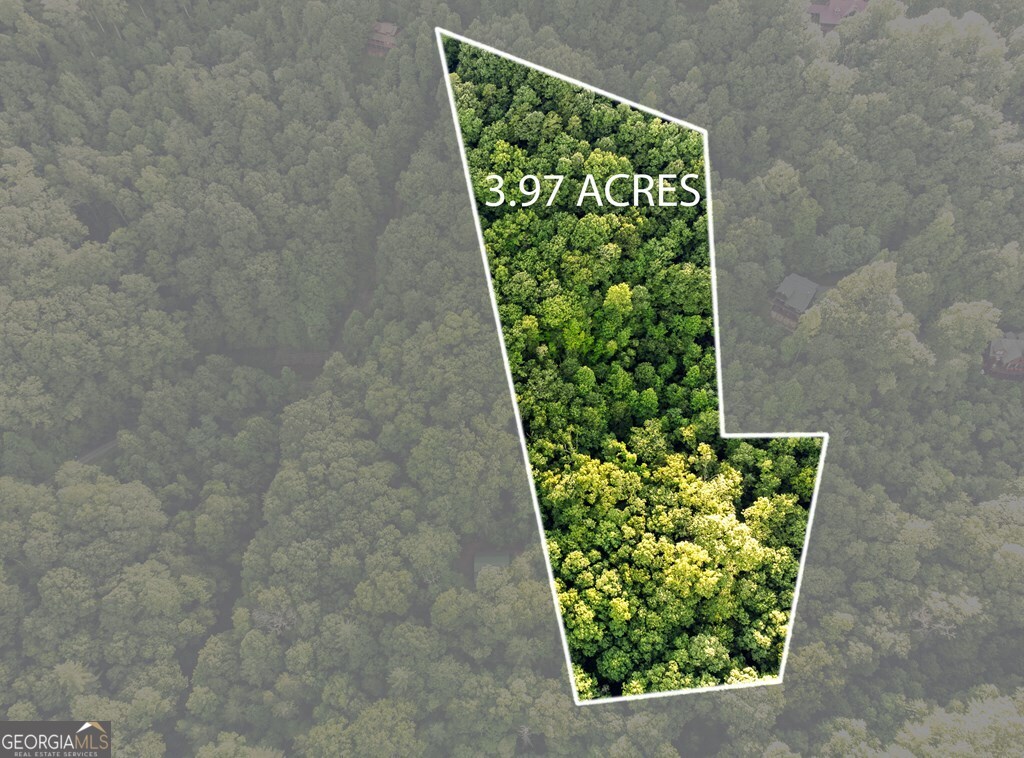 Lot 18 Cub Trail Cherry Log GA 30522