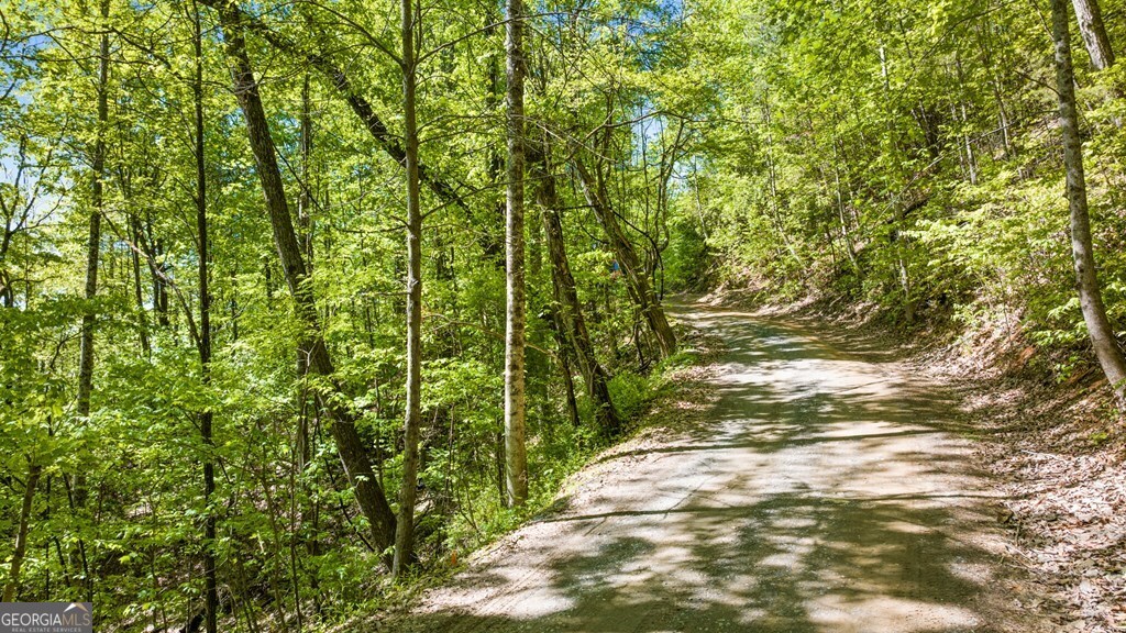 Lot 18 Cub Trail Cherry Log GA 30522