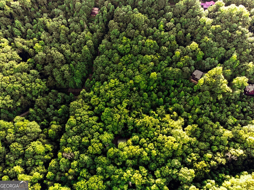Lot 18 Cub Trail Cherry Log GA 30522