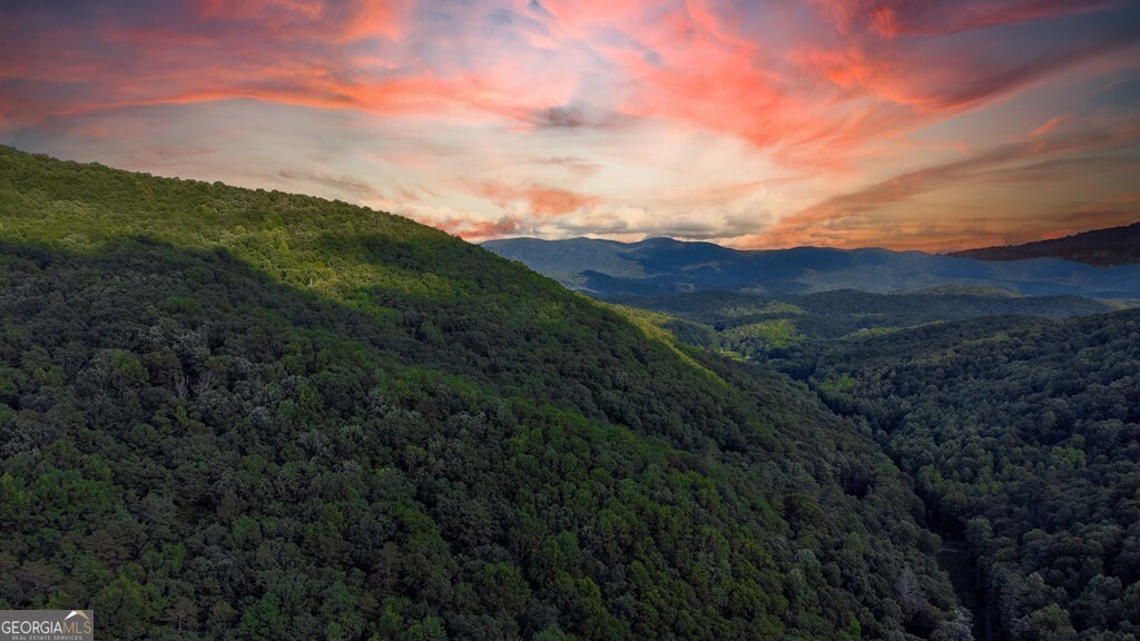 Lot 18 Cub Trail Cherry Log GA 30522
