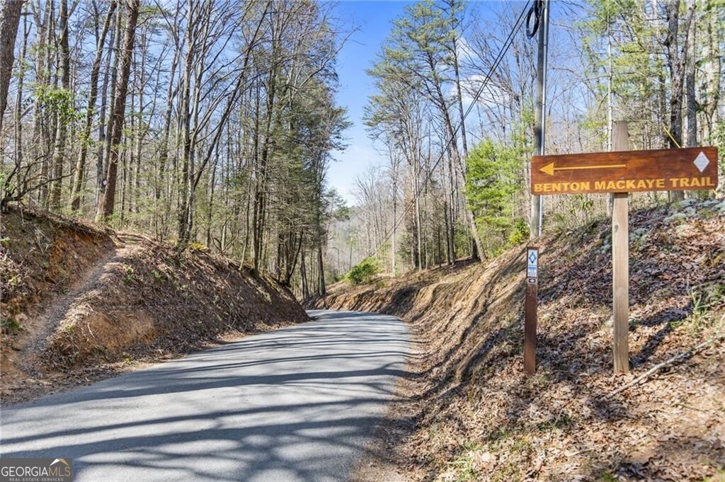Lot 18 Cub Trail Cherry Log GA 30522