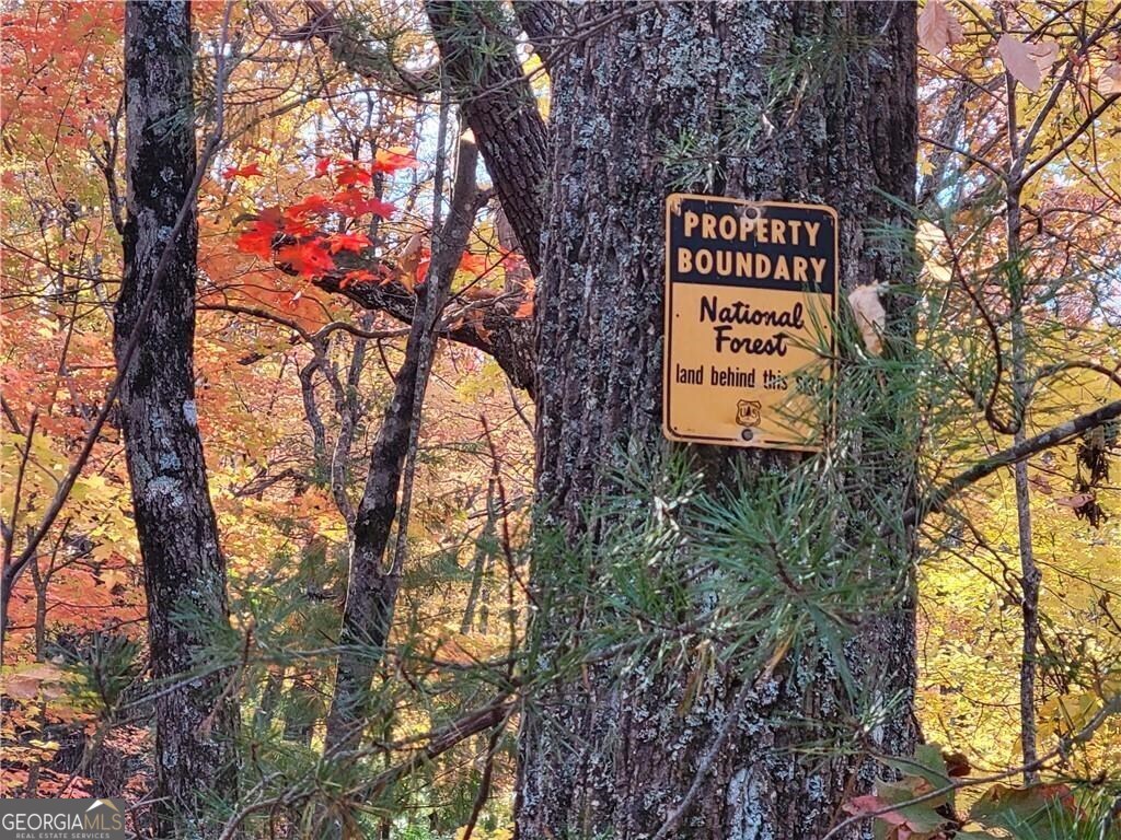 Lot 18 Cub Trail Cherry Log GA 30522