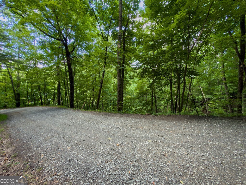 Lot 18 Cub Trail Cherry Log GA 30522