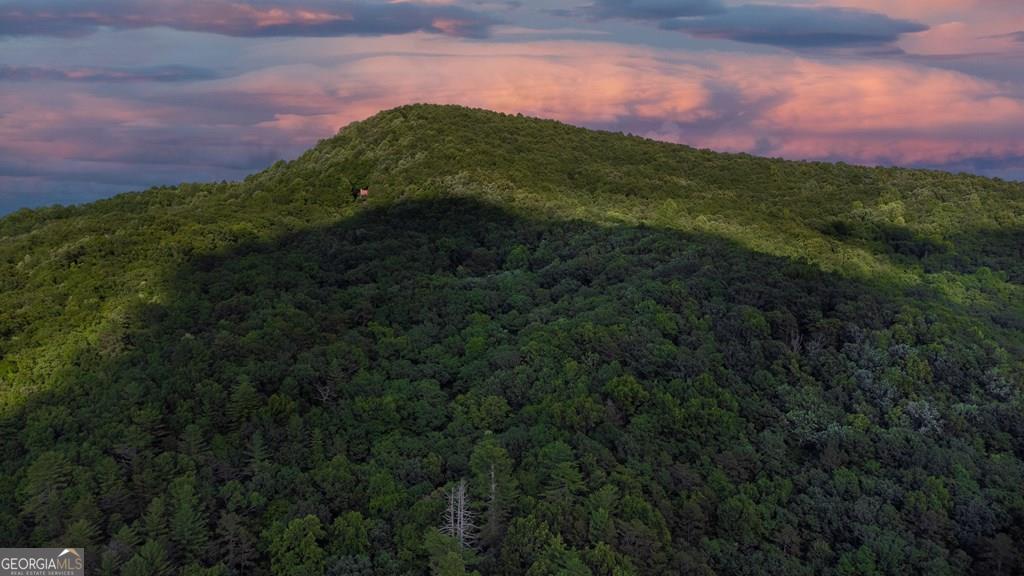 Lot 18 Cub Trail Cherry Log GA 30522