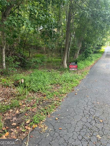 0 Rue Cezzan Lavonia GA 30553