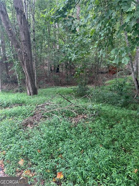 0 Rue Cezzan Lavonia GA 30553