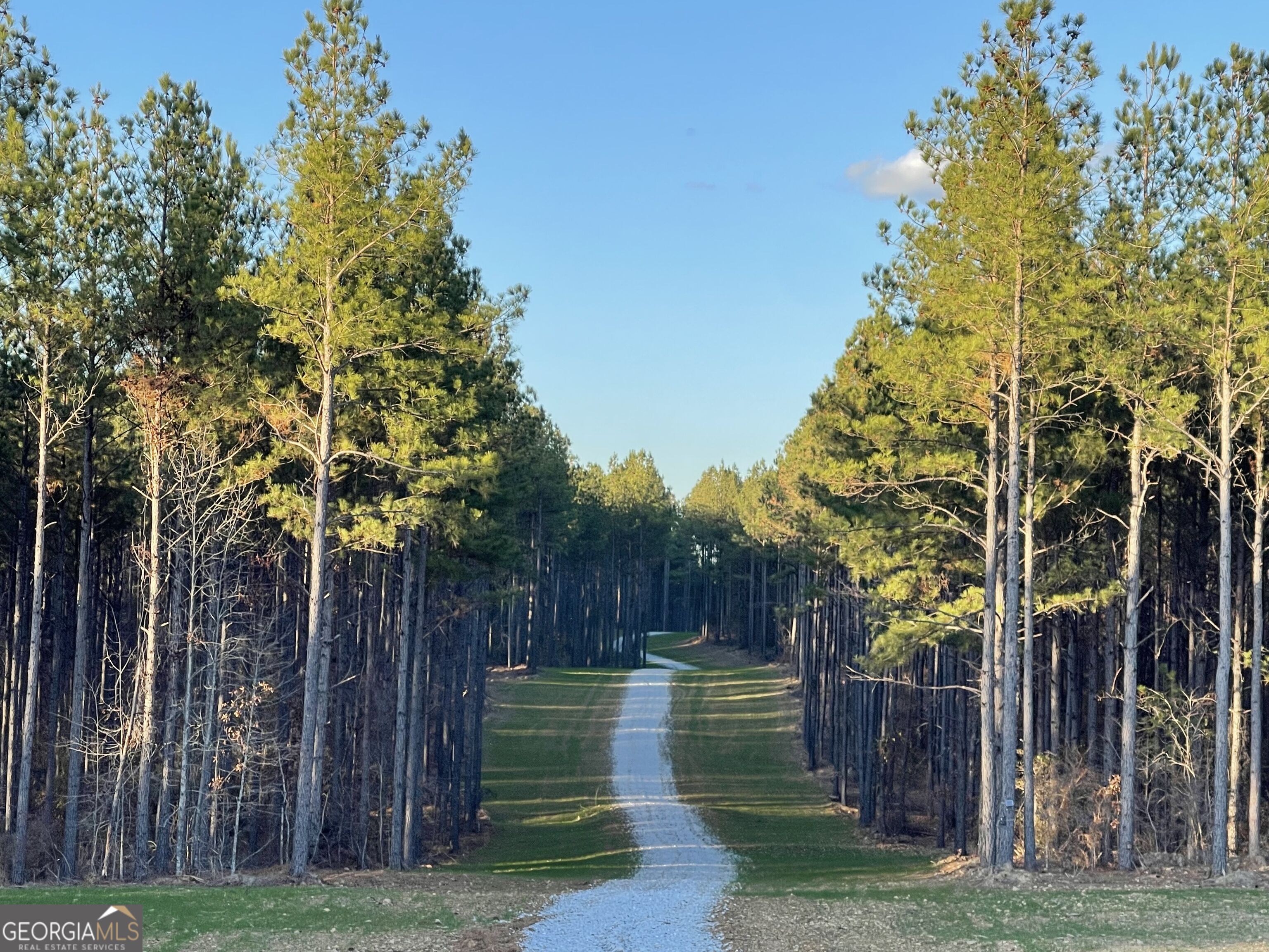 92 Lillian Strong Road Carlton GA 30627