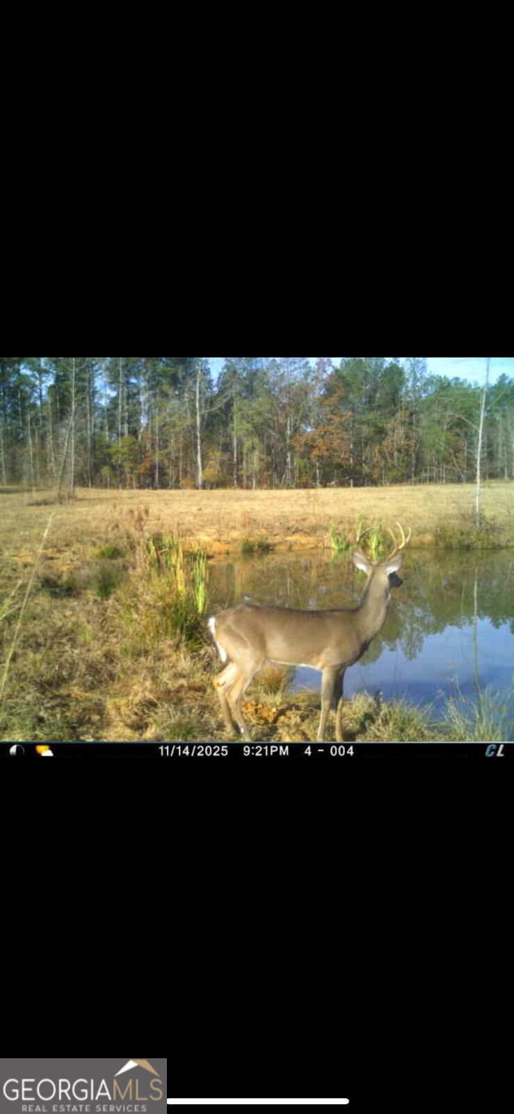 92 Lillian Strong Road Carlton GA 30627