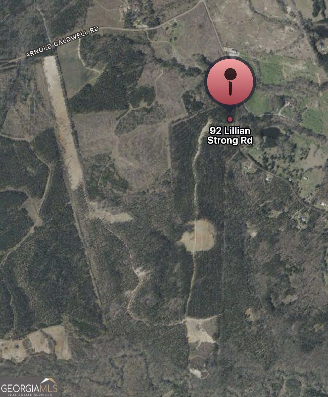 92 Lillian Strong Road Carlton GA 30627