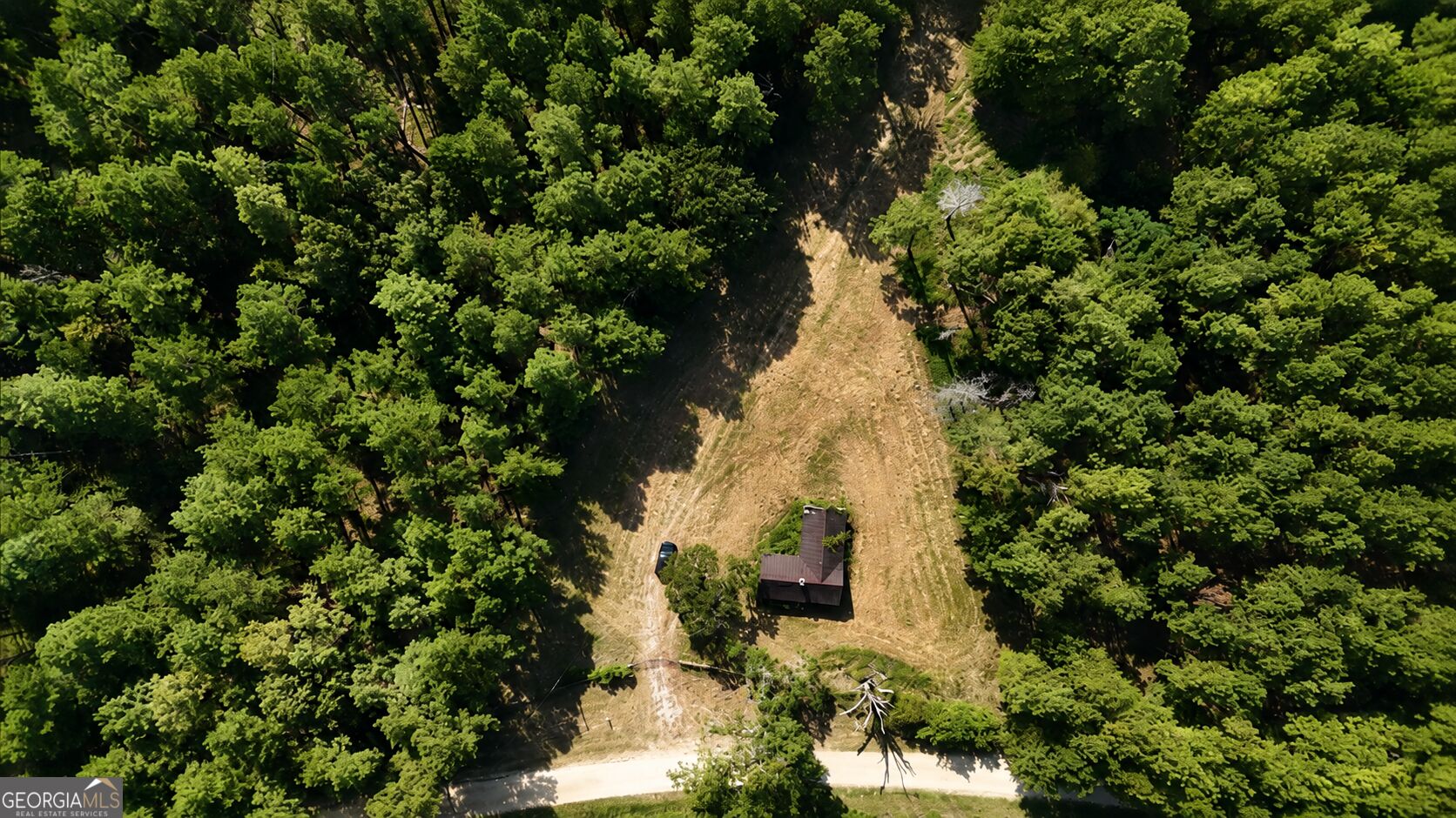 92 Lillian Strong Road Carlton GA 30627