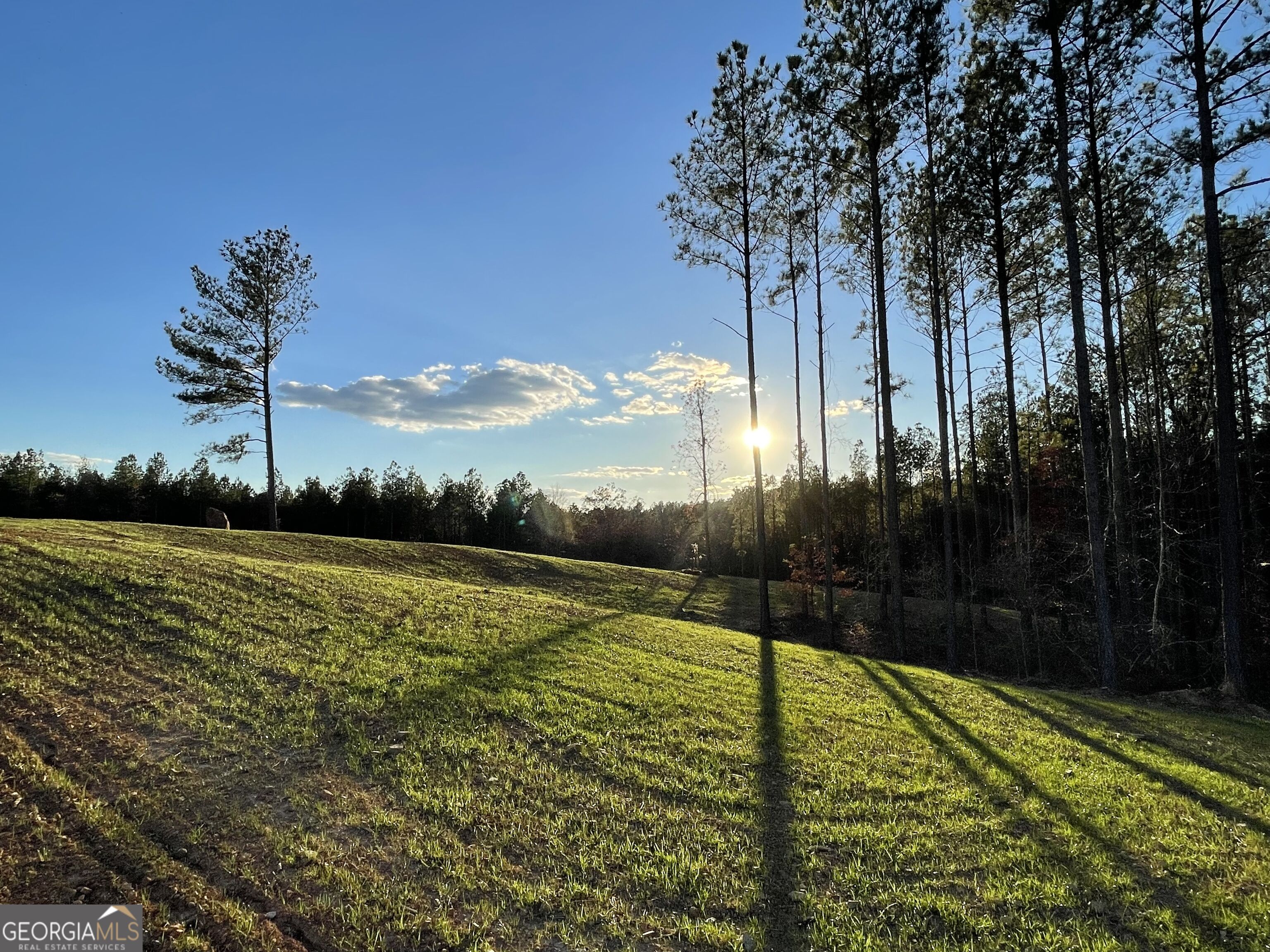 92 Lillian Strong Road Carlton GA 30627