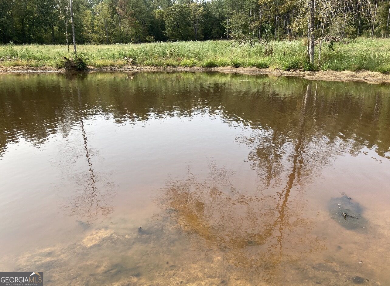 92 Lillian Strong Road Carlton GA 30627