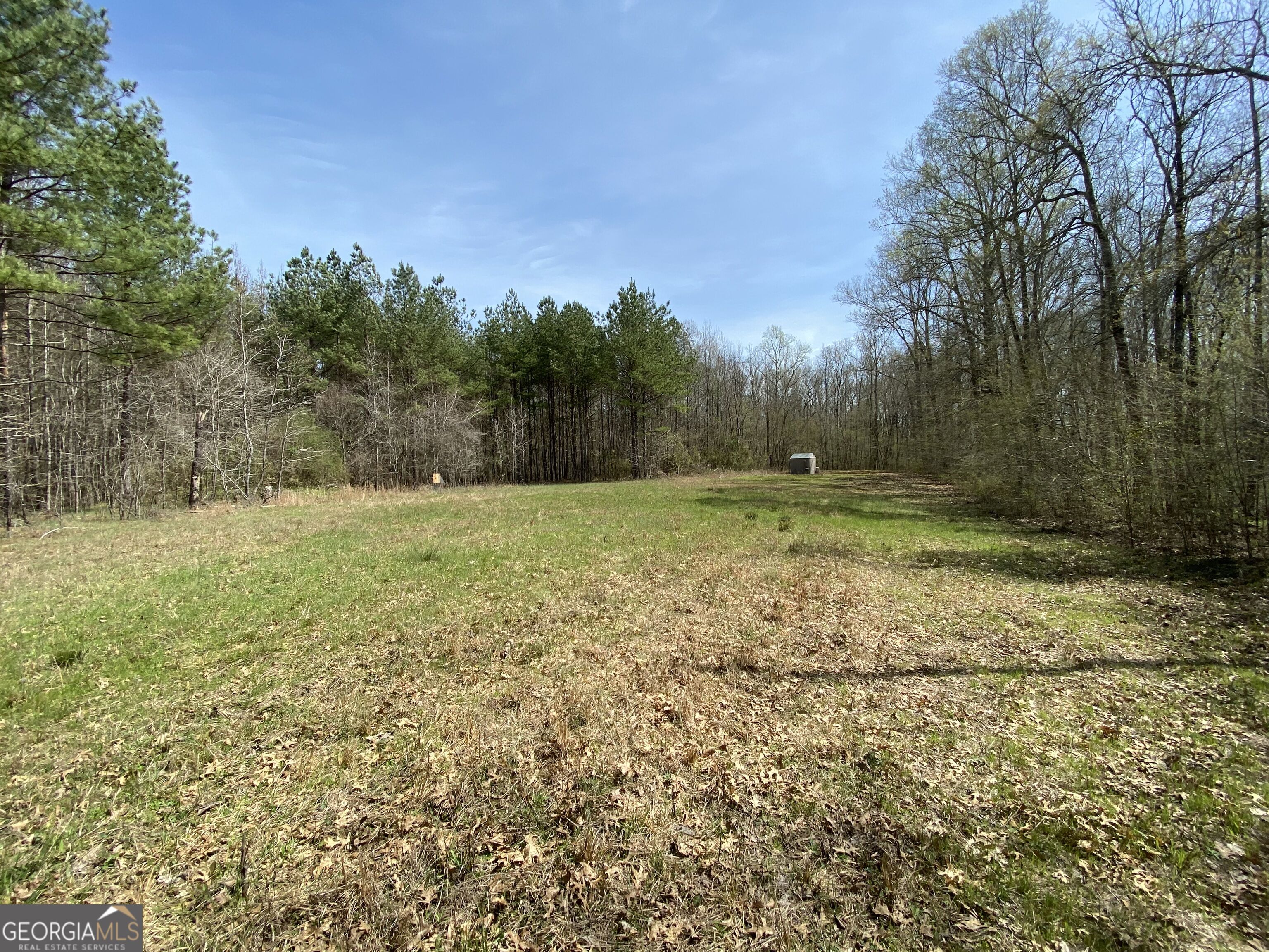 92 Lillian Strong Road Carlton GA 30627