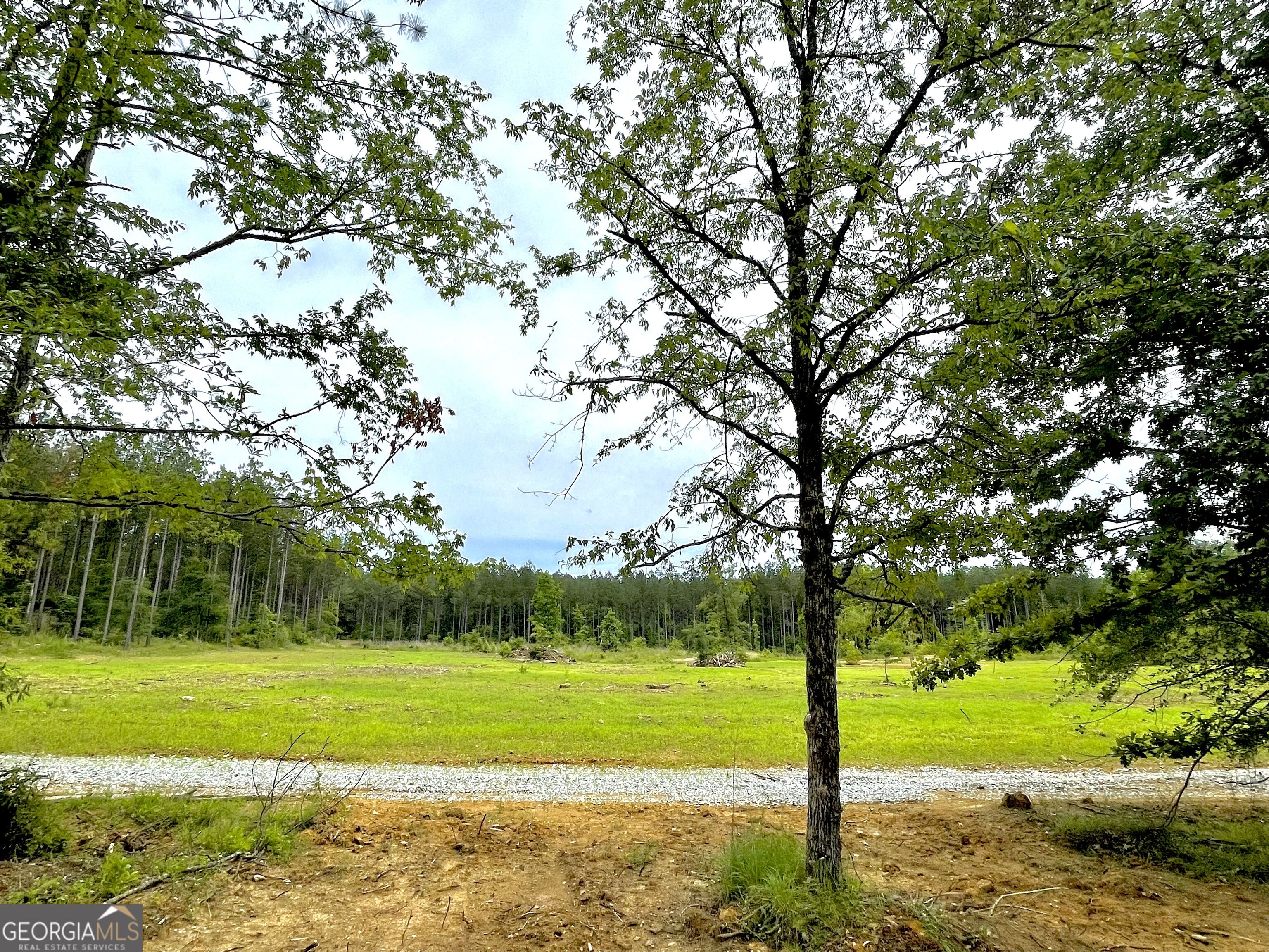 92 Lillian Strong Road Carlton GA 30627