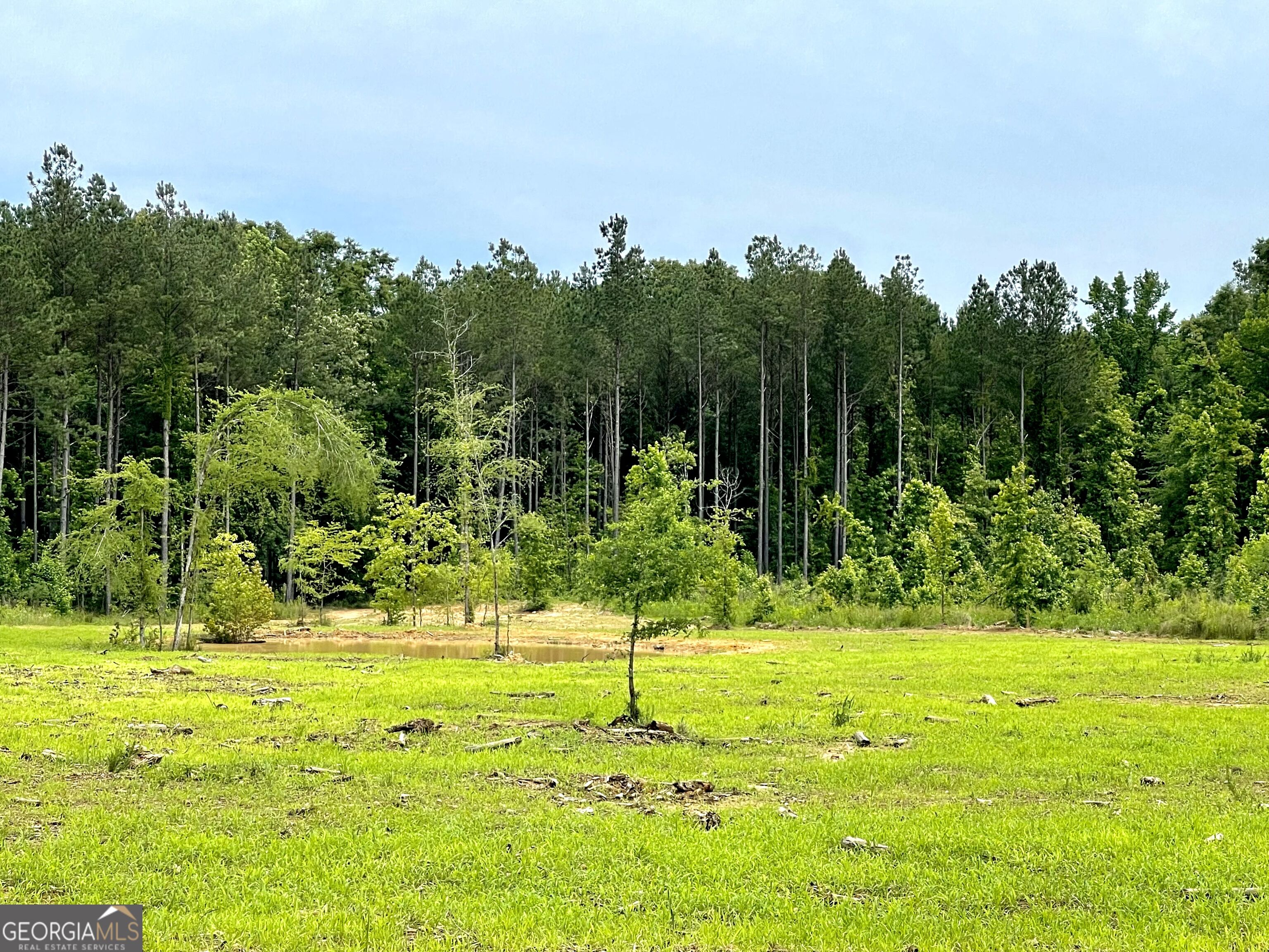 92 Lillian Strong Road Carlton GA 30627