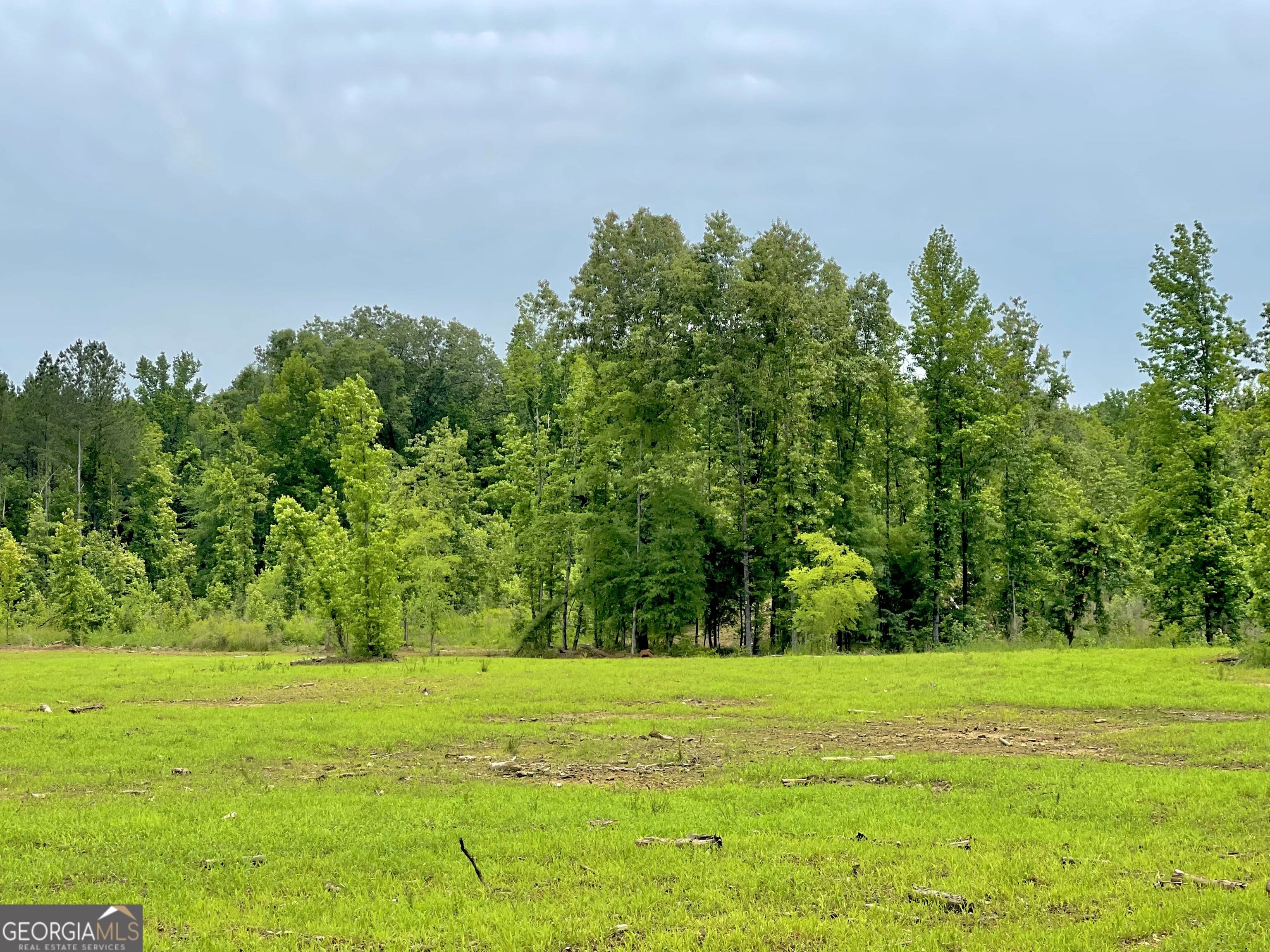 92 Lillian Strong Road Carlton GA 30627