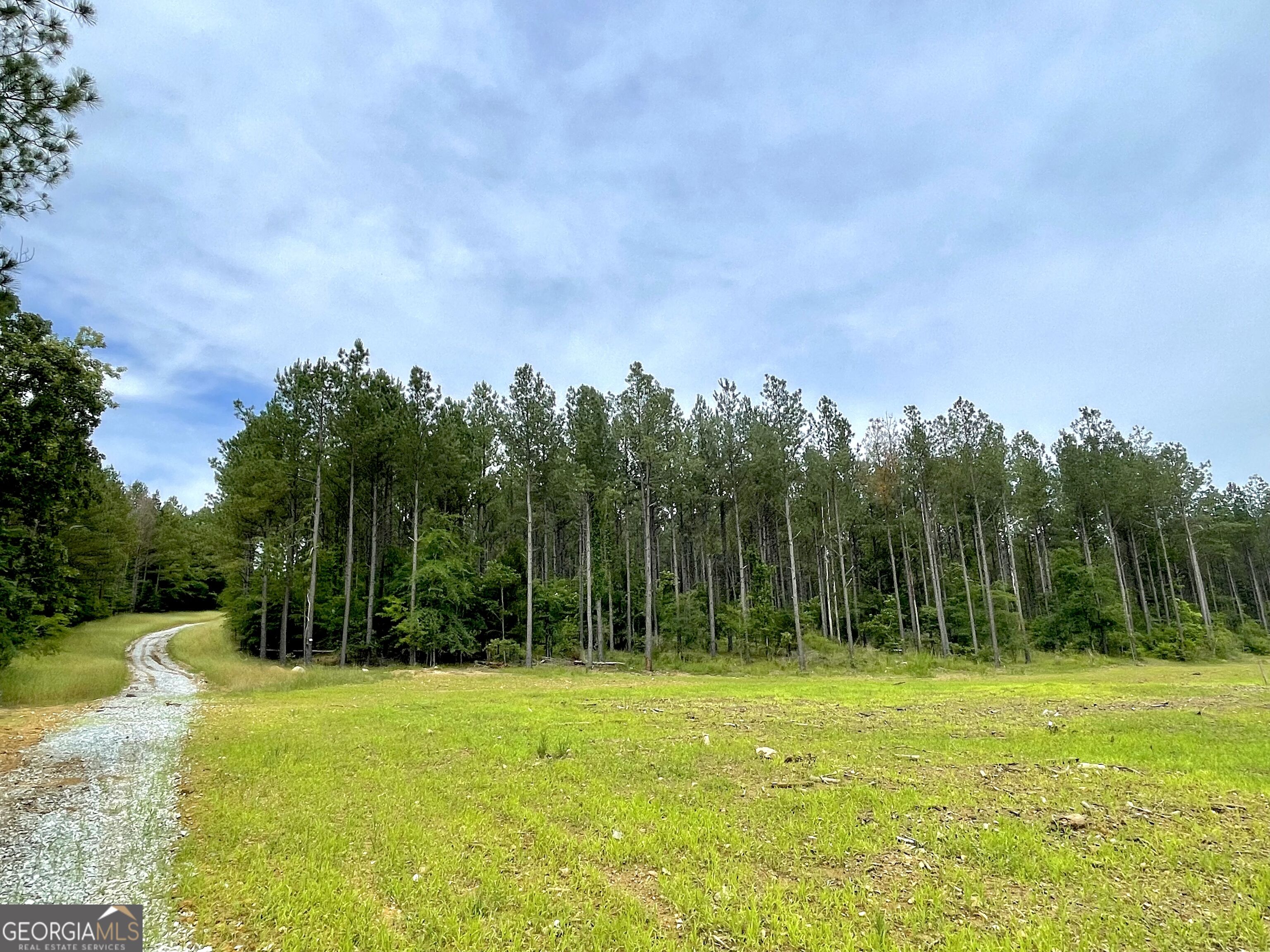 92 Lillian Strong Road Carlton GA 30627