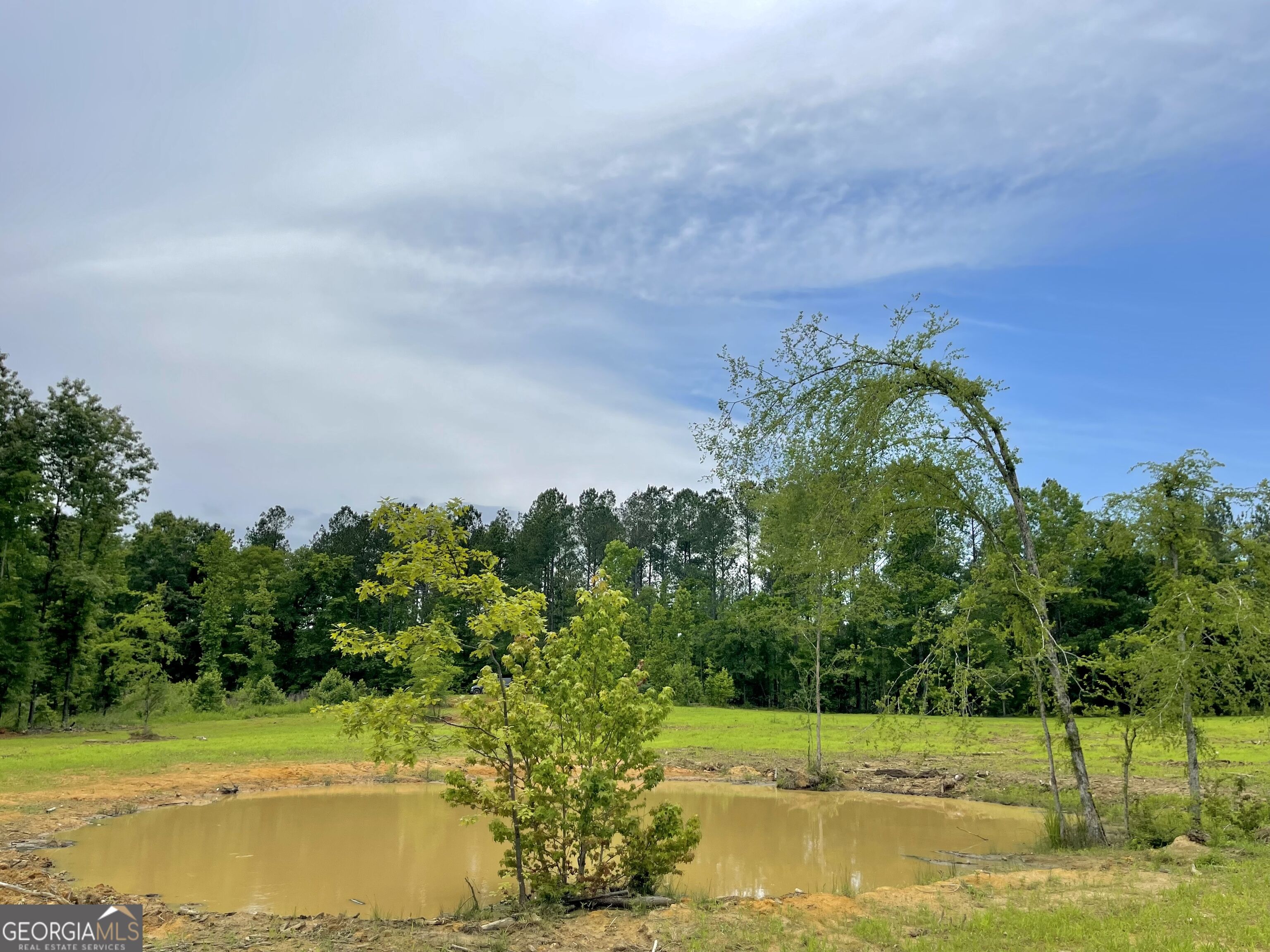 92 Lillian Strong Road Carlton GA 30627
