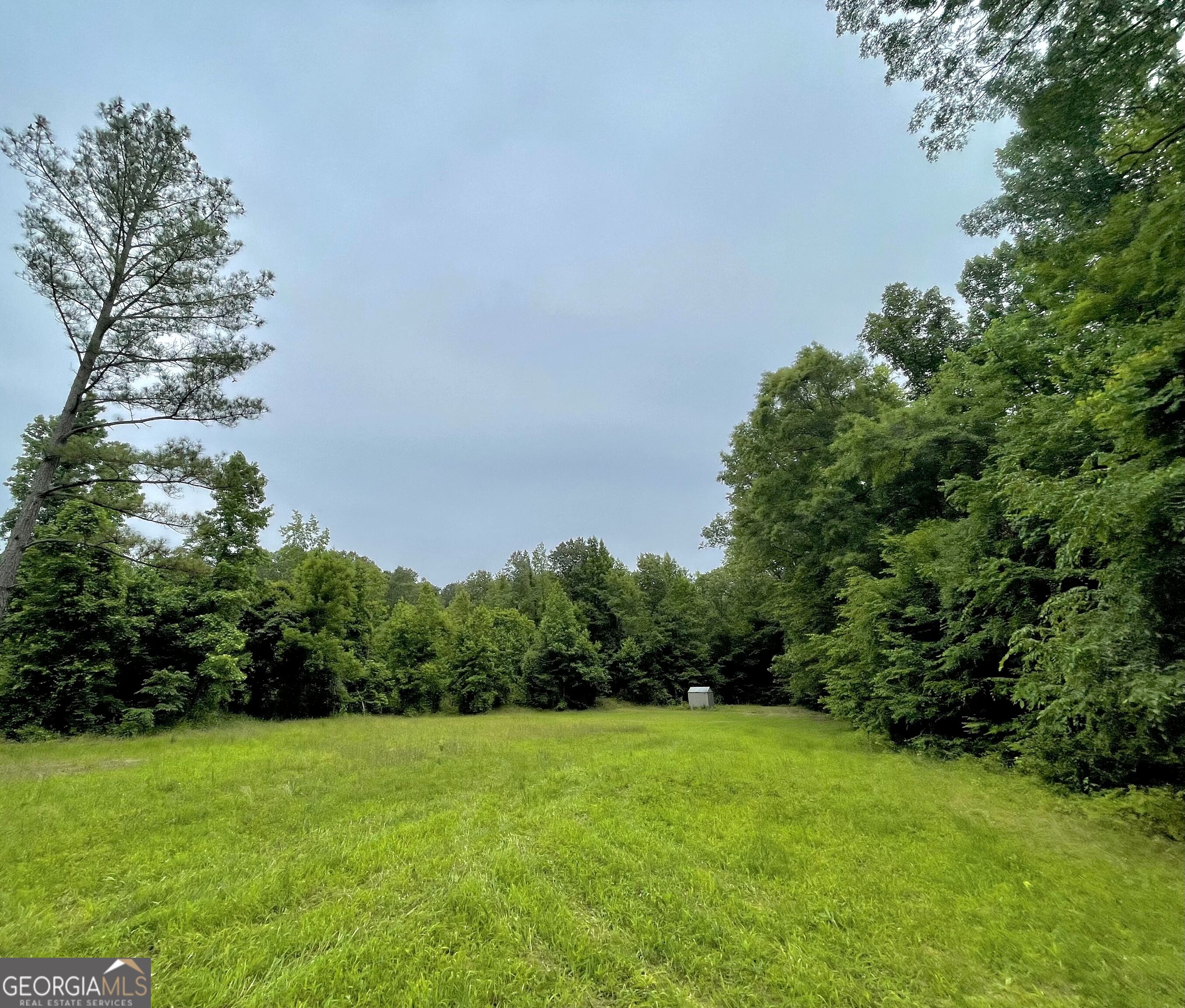 92 Lillian Strong Road Carlton GA 30627