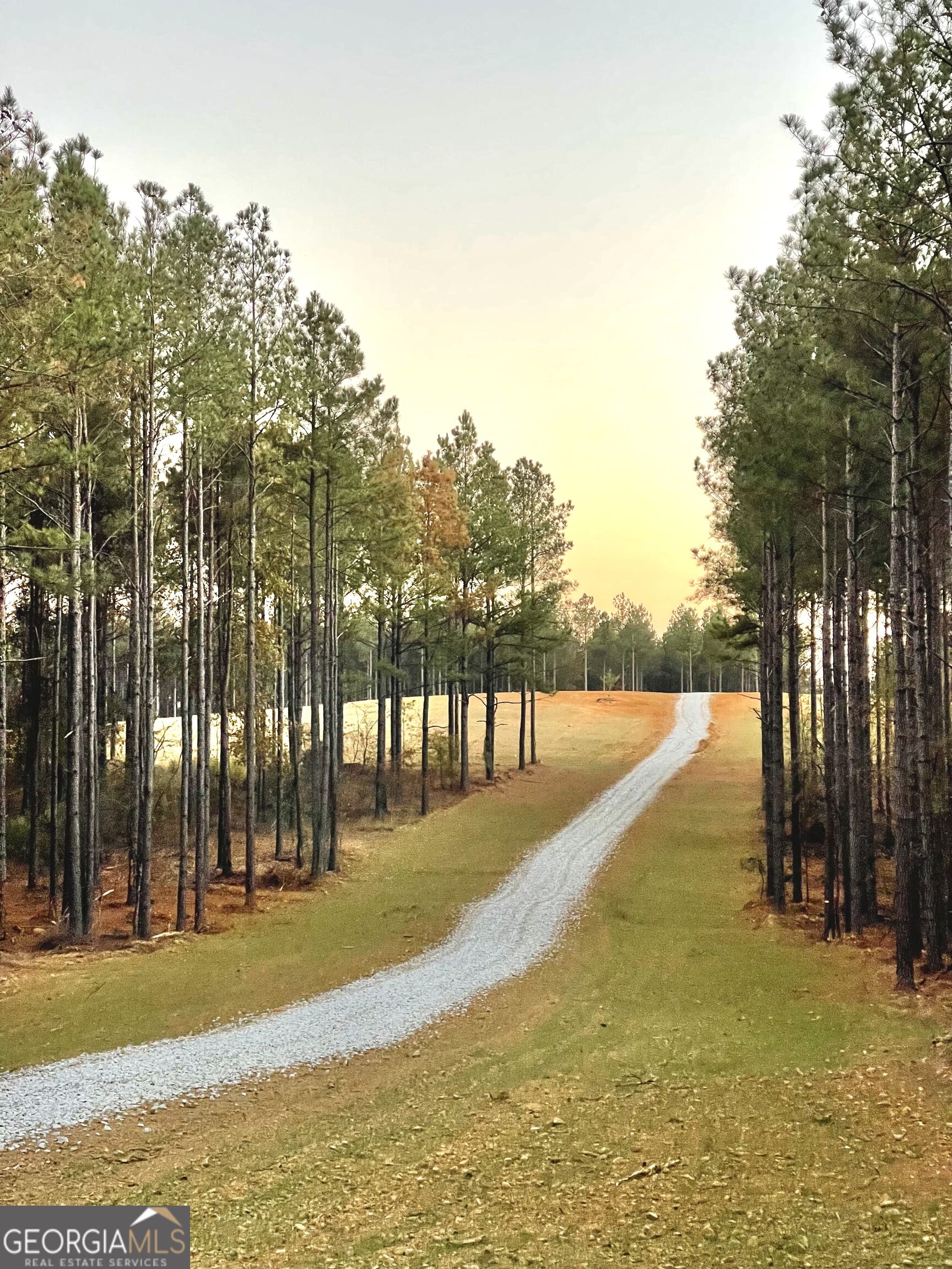 92 Lillian Strong Road Carlton GA 30627