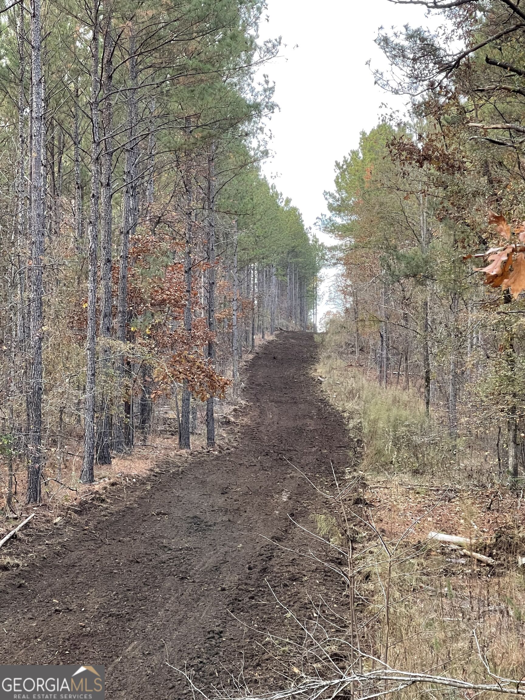 92 Lillian Strong Road Carlton GA 30627