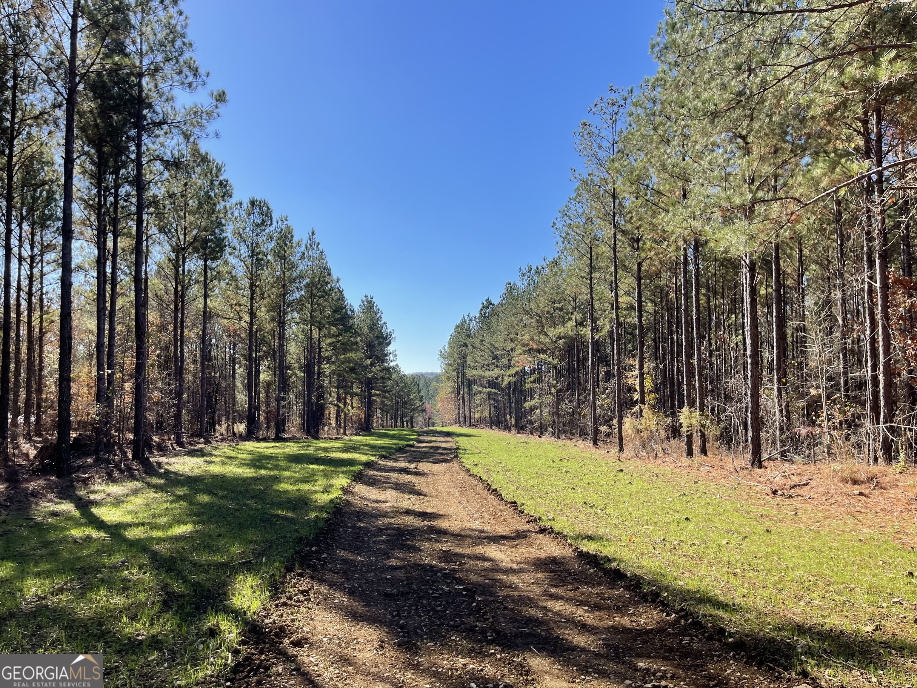 92 Lillian Strong Road Carlton GA 30627