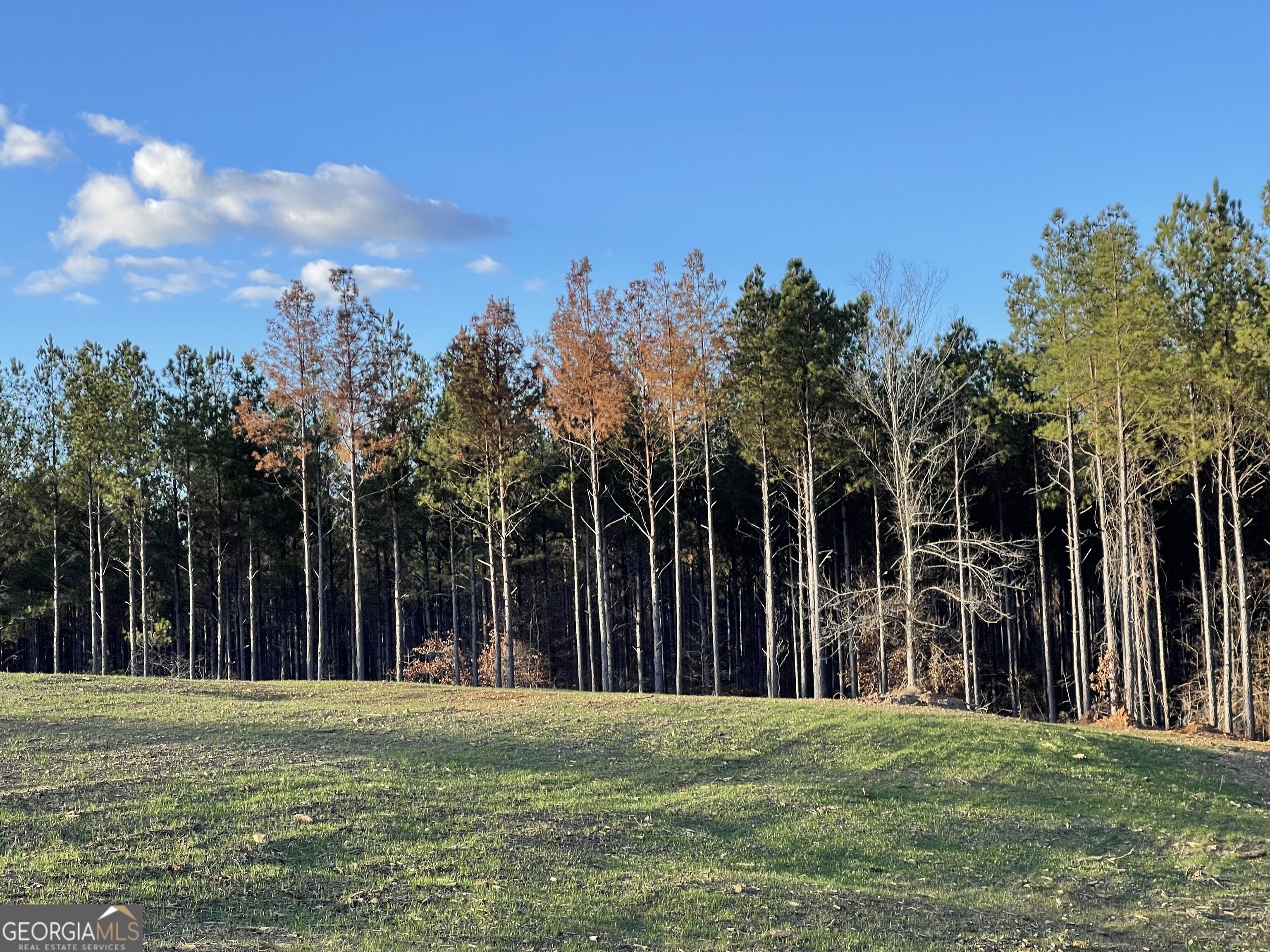 92 Lillian Strong Road Carlton GA 30627