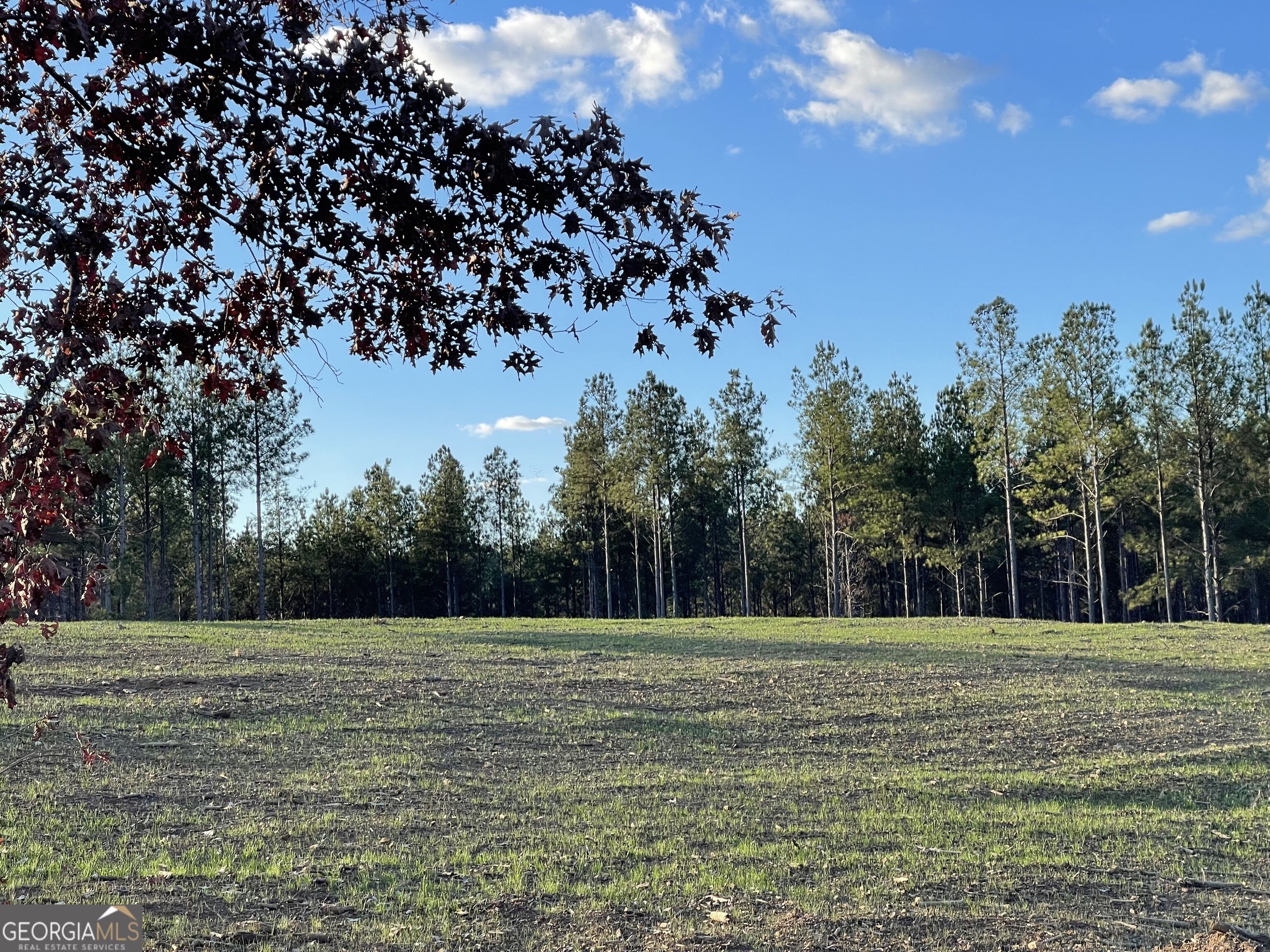 92 Lillian Strong Road Carlton GA 30627