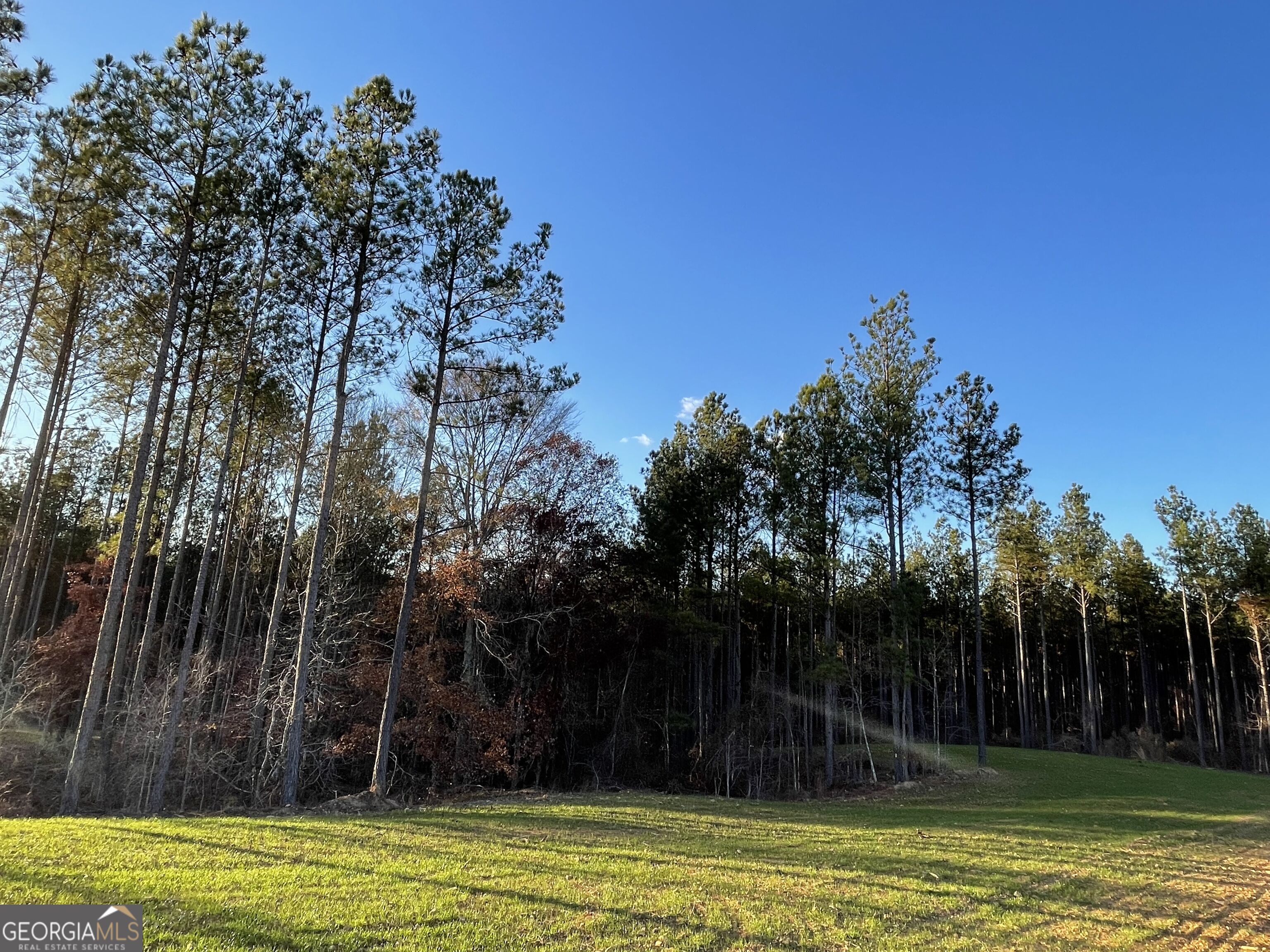 92 Lillian Strong Road Carlton GA 30627