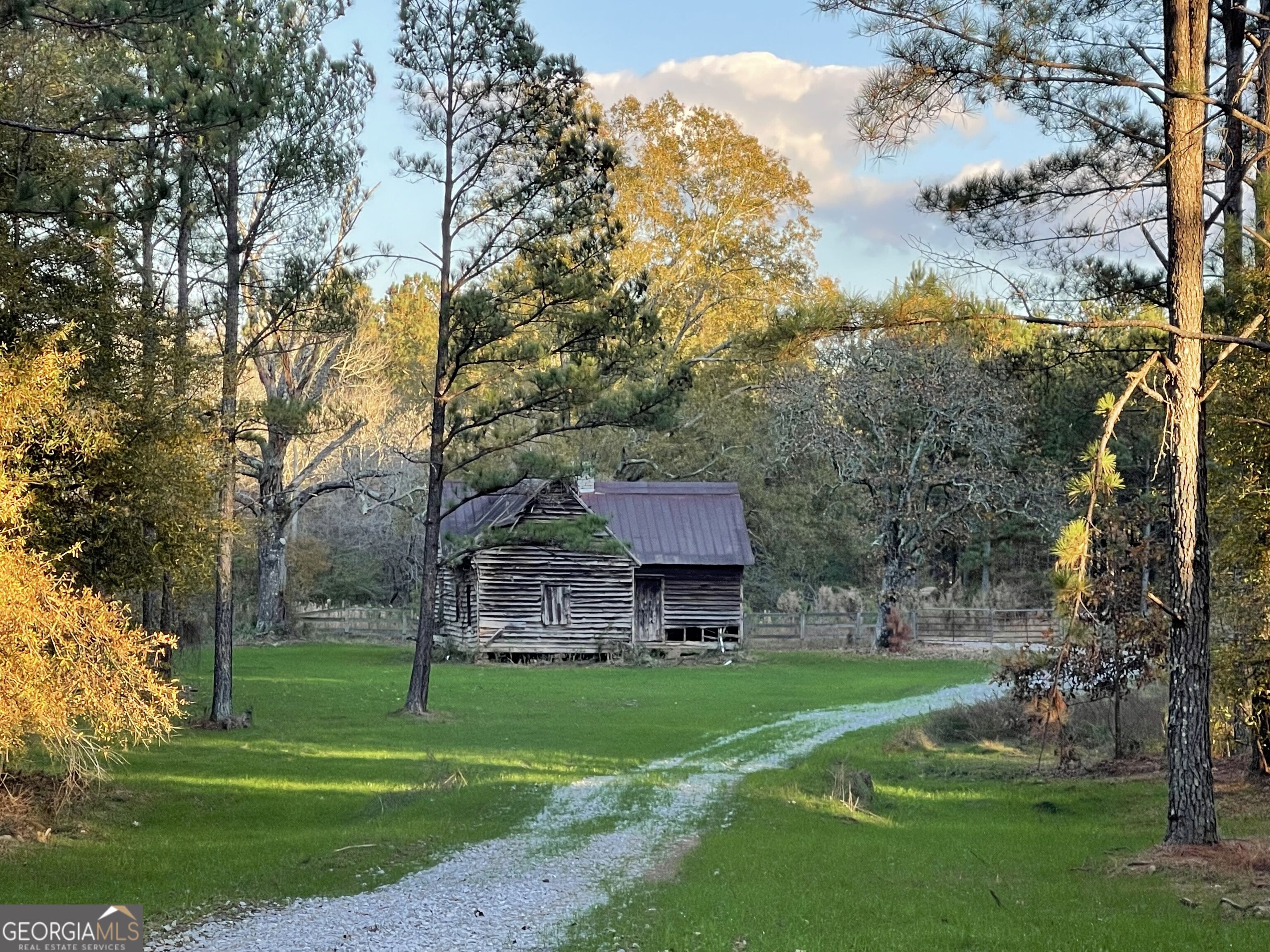 92 Lillian Strong Road Carlton GA 30627