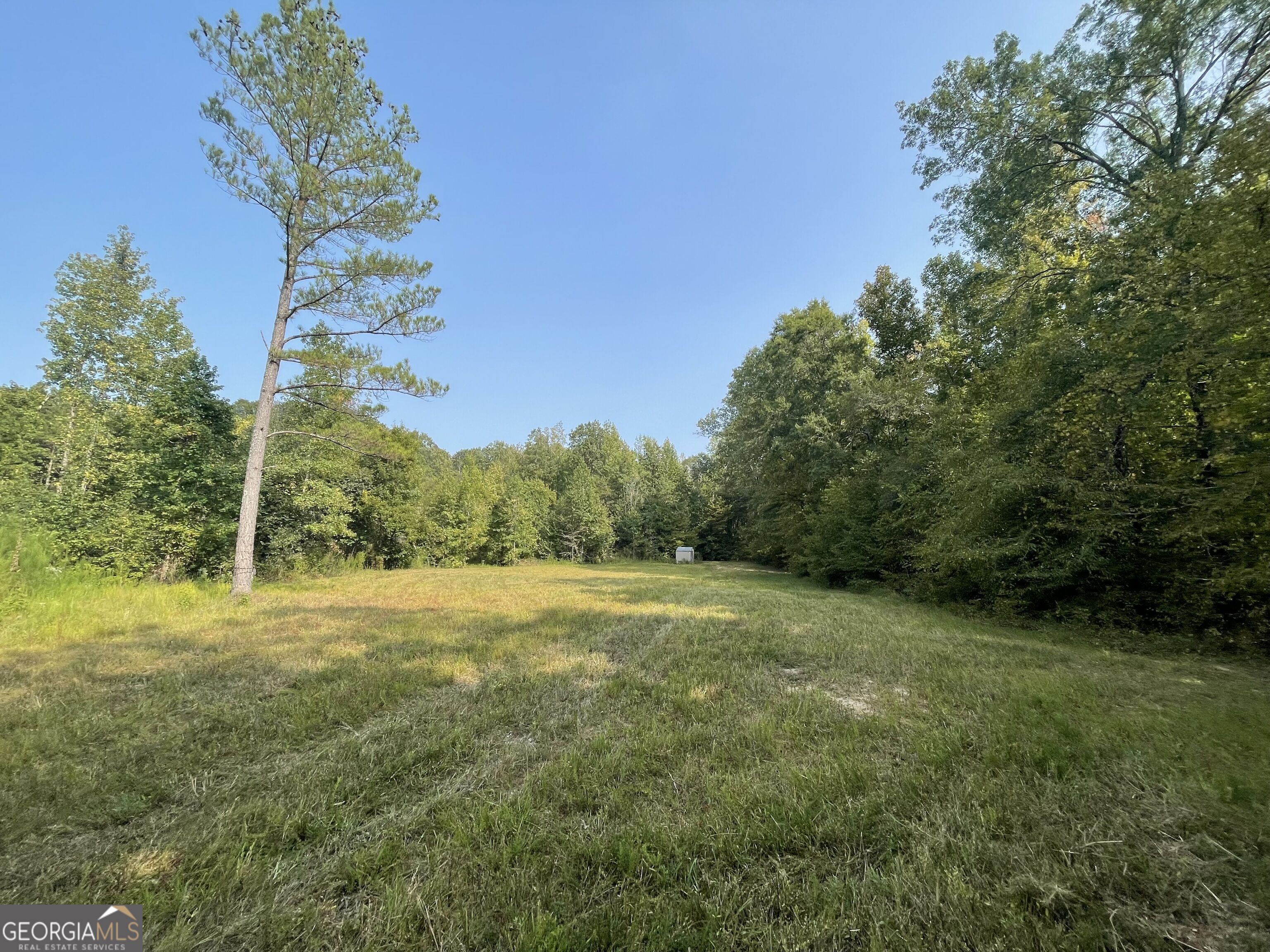 92 Lillian Strong Road Carlton GA 30627