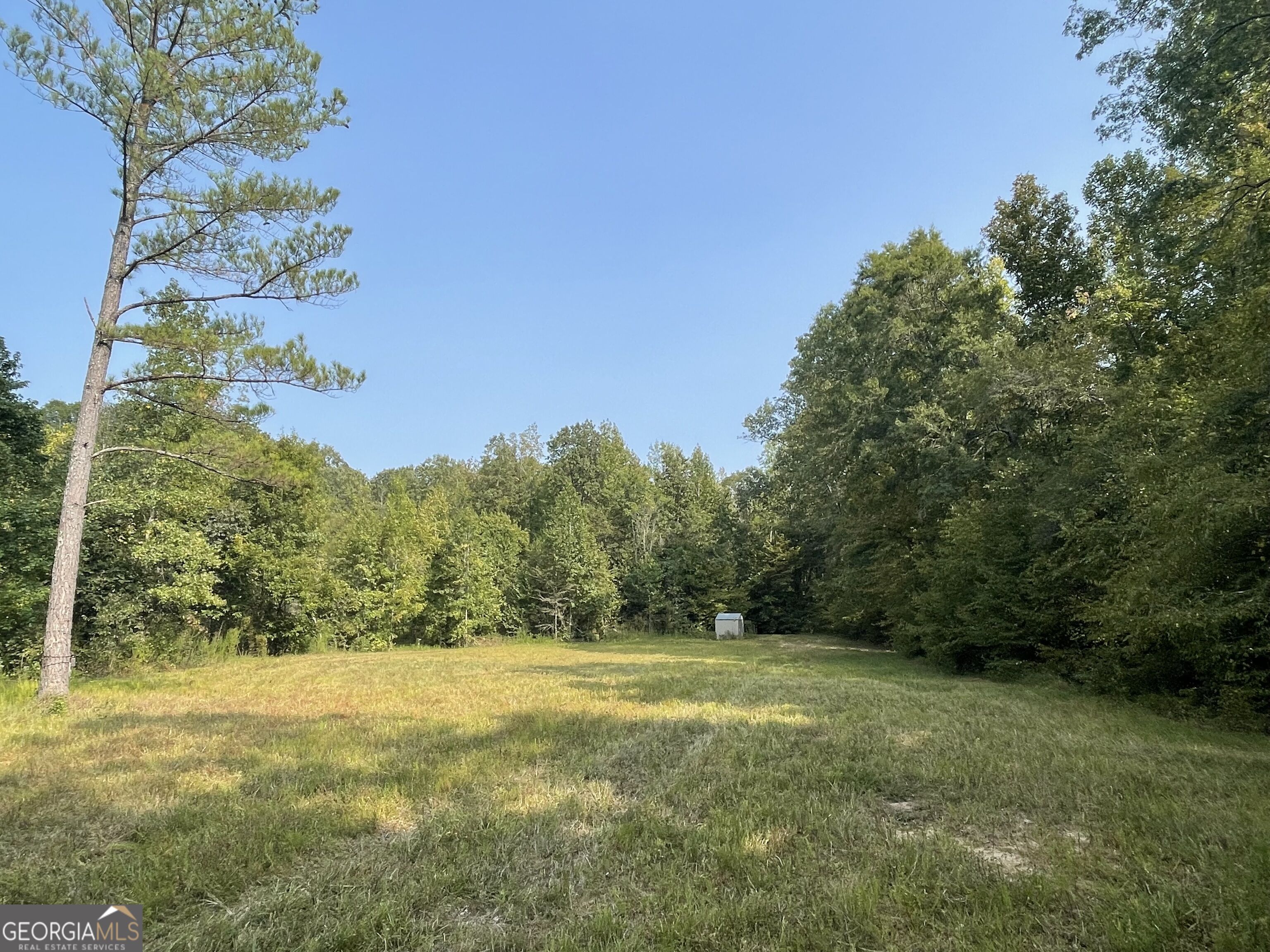 92 Lillian Strong Road Carlton GA 30627