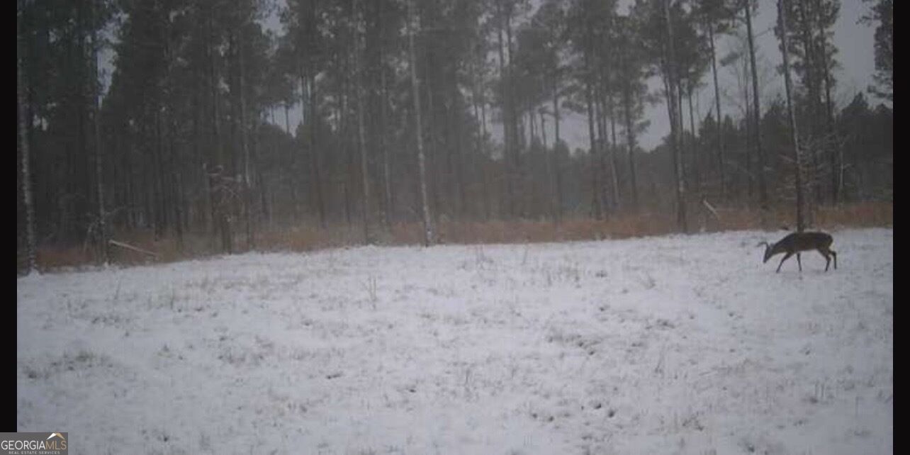 92 Lillian Strong Road Carlton GA 30627