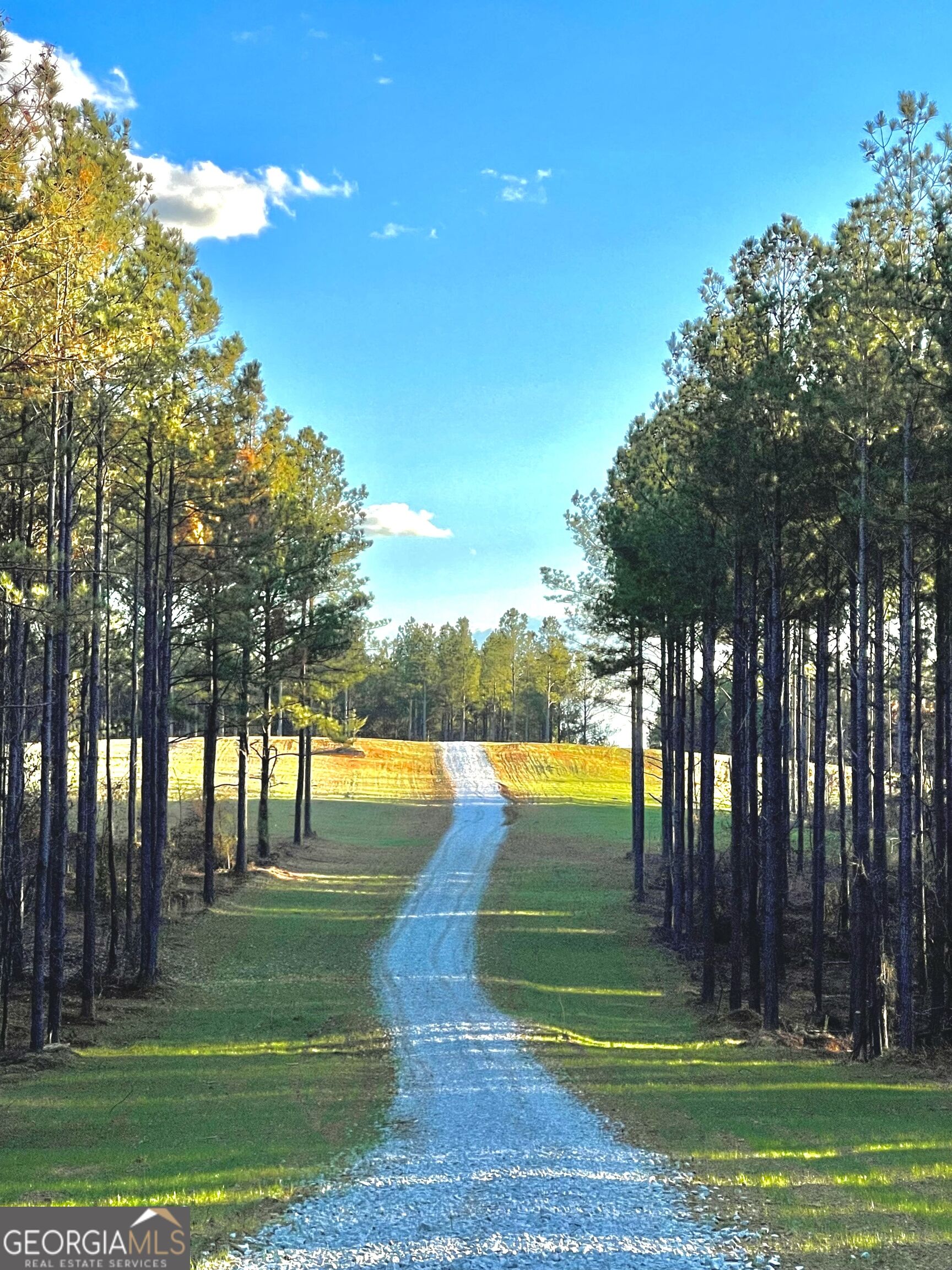 92 Lillian Strong Road Carlton GA 30627