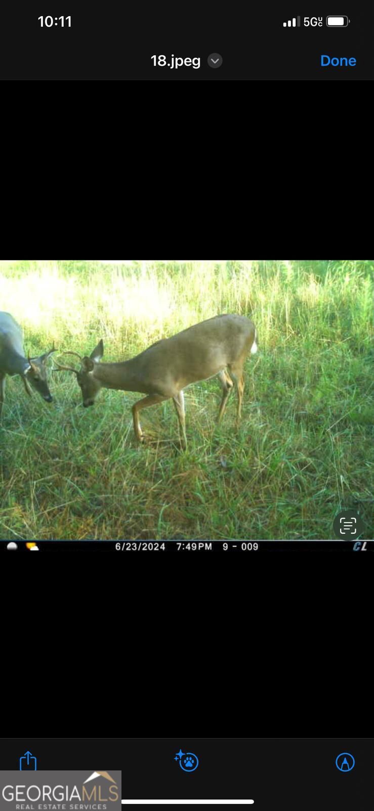 92 Lillian Strong Road Carlton GA 30627